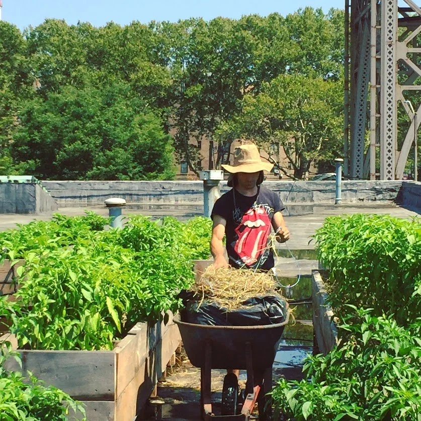 Copy of IMG_9961.JPG