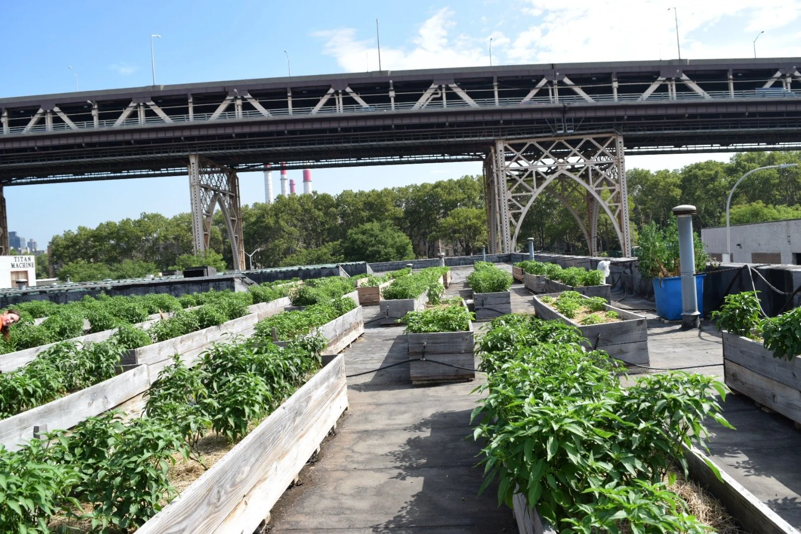 Copy of IMG_5509.JPG