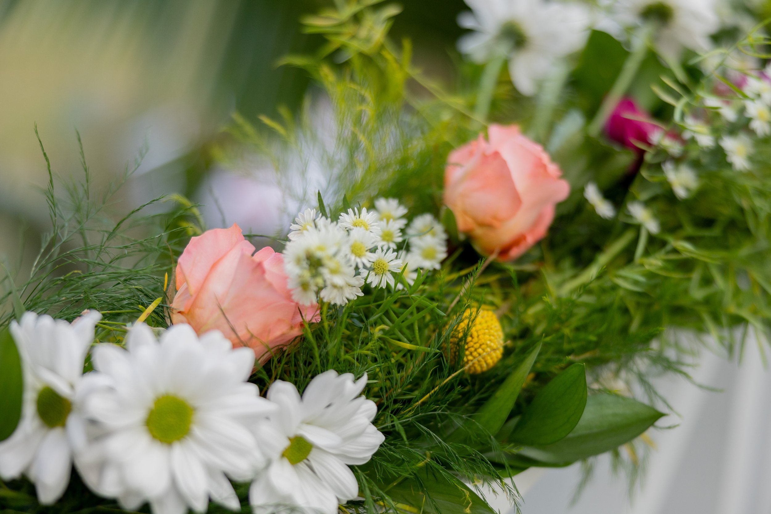 Christina Ysaguirre Photography -A+B Wedding Dec 2024-60.jpg
