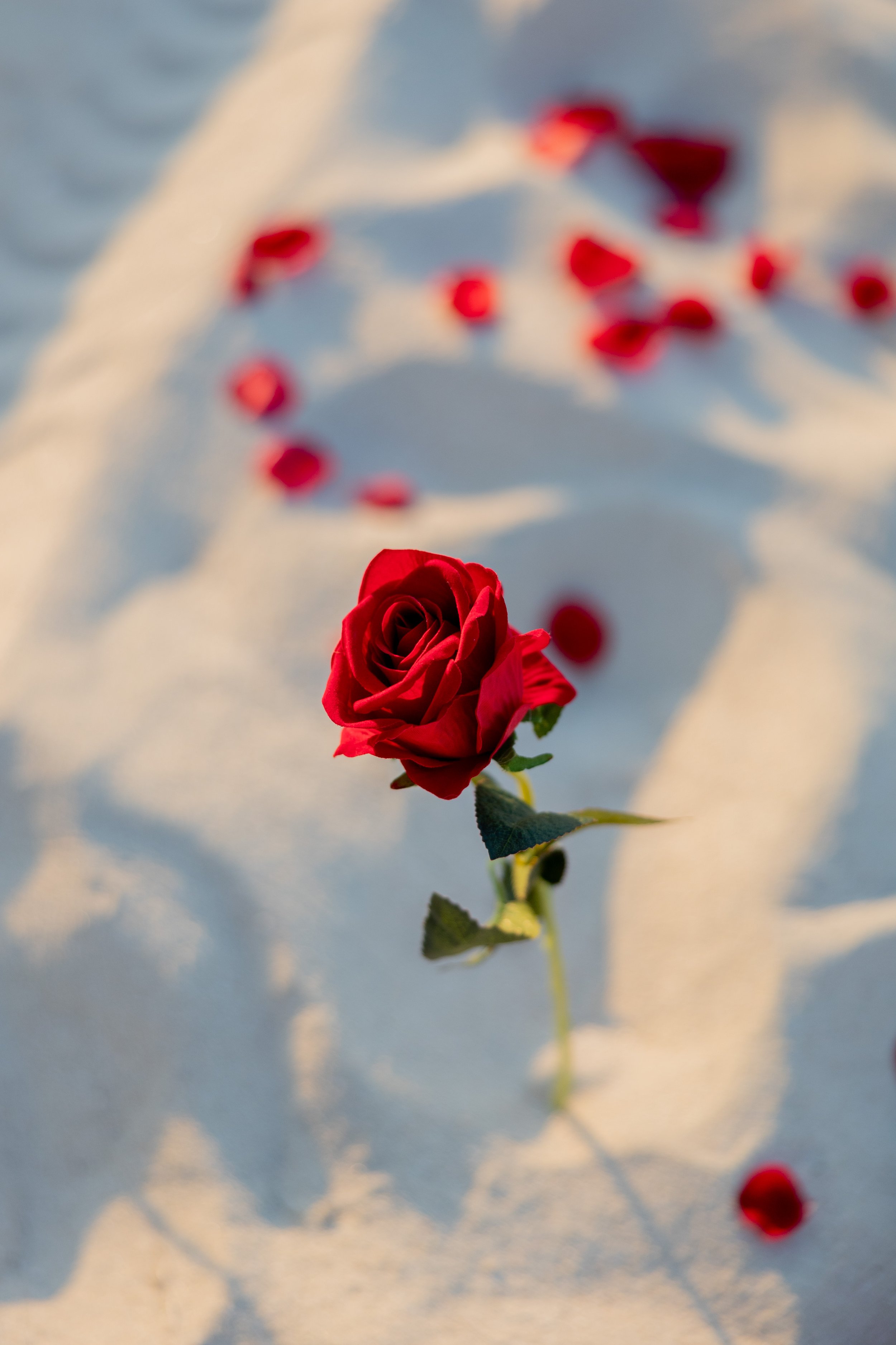 Copyright Christina Ysaguirre Photography 2024 - Nassau Bahamas Photographer - L+A Cabbage Beach Proposal - Paradise Island-2.jpg