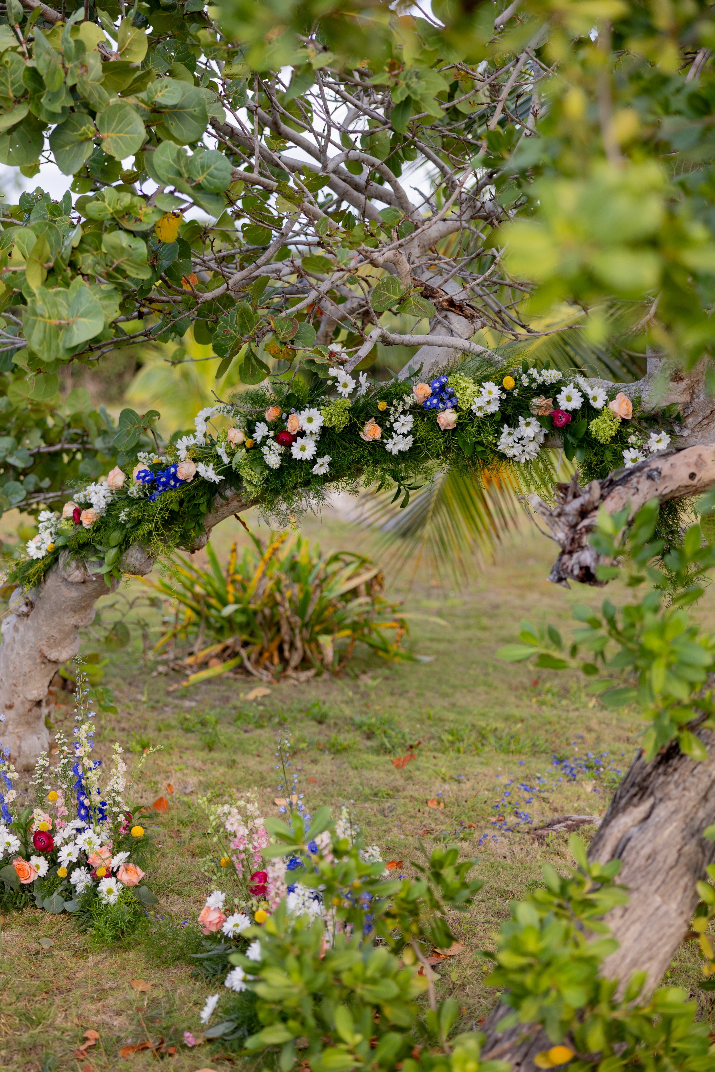 Christina Ysaguirre Photography -A+B Wedding Dec 2024-111.jpg
