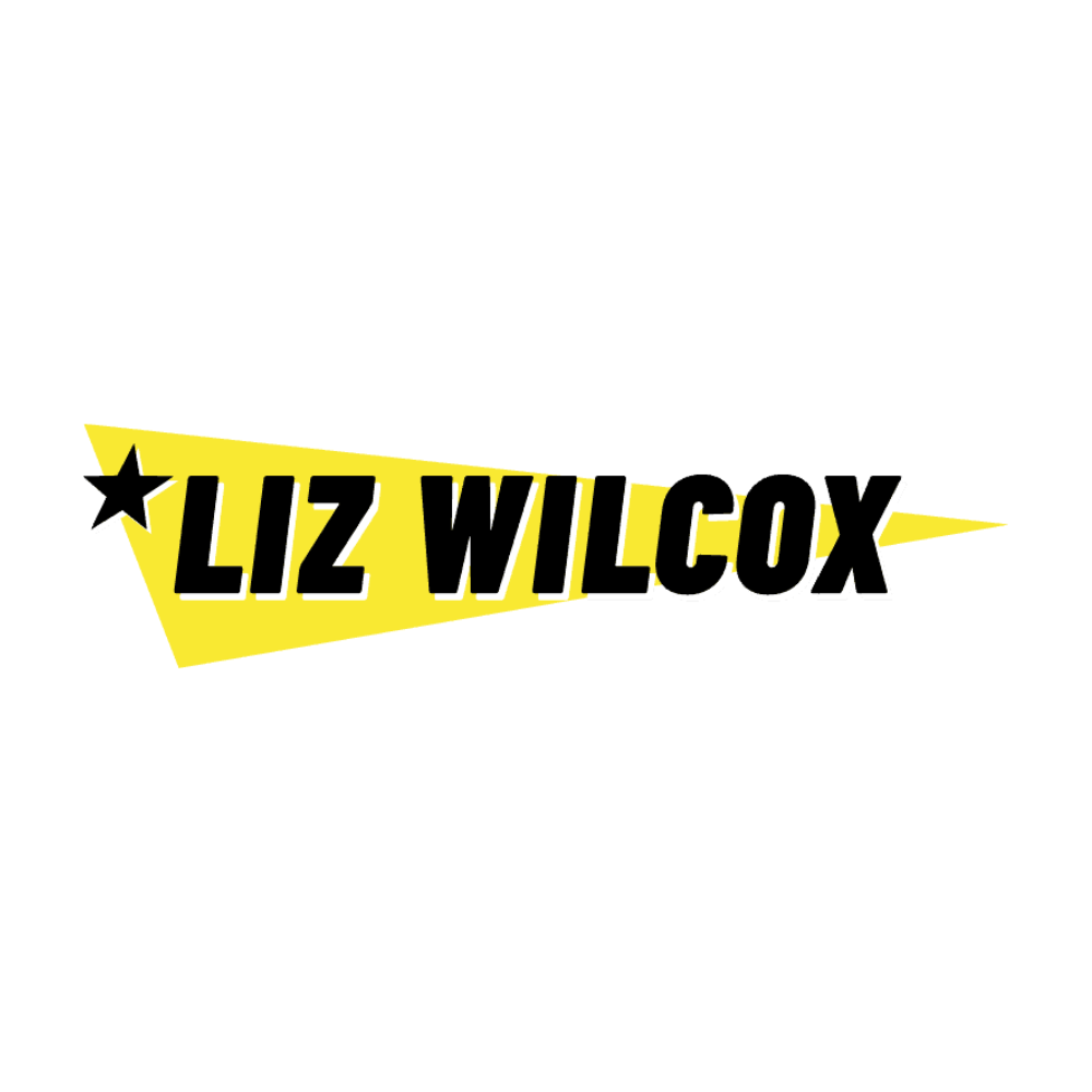 Liz Wilcox: Email marketing membership with ready-to-use templates and weekly newsletter ideas.