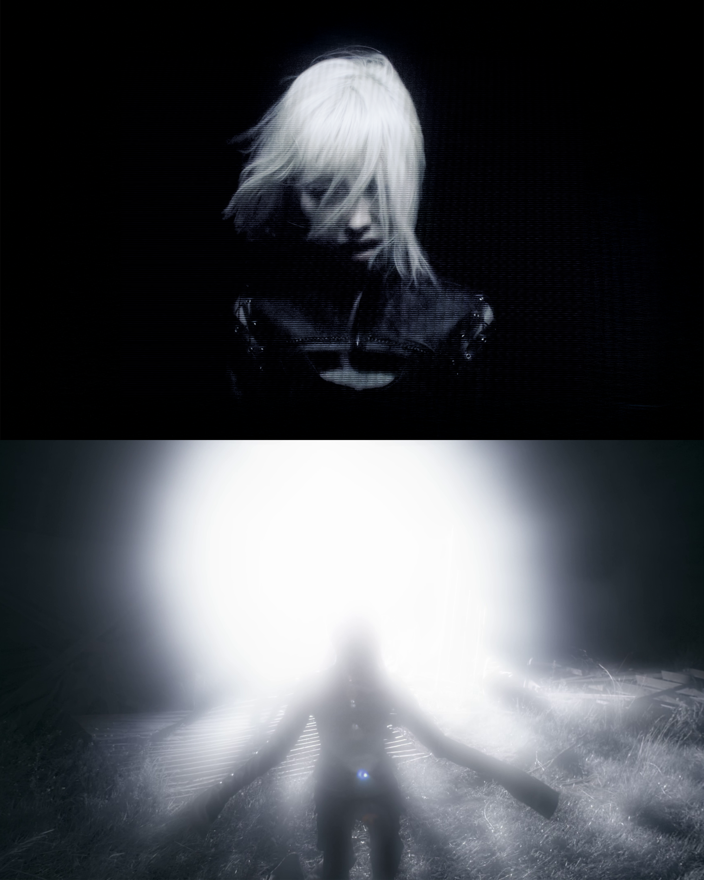 THE_LIGHT_COMP.png
