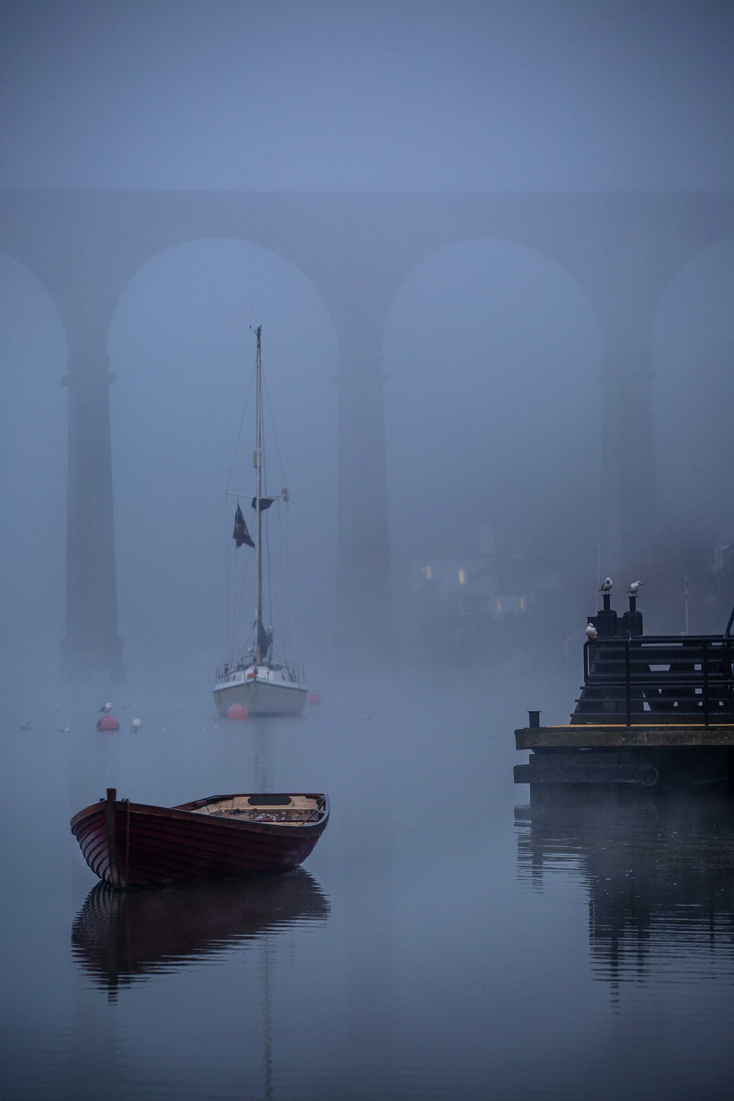 Calstock Viaduct Cornwall