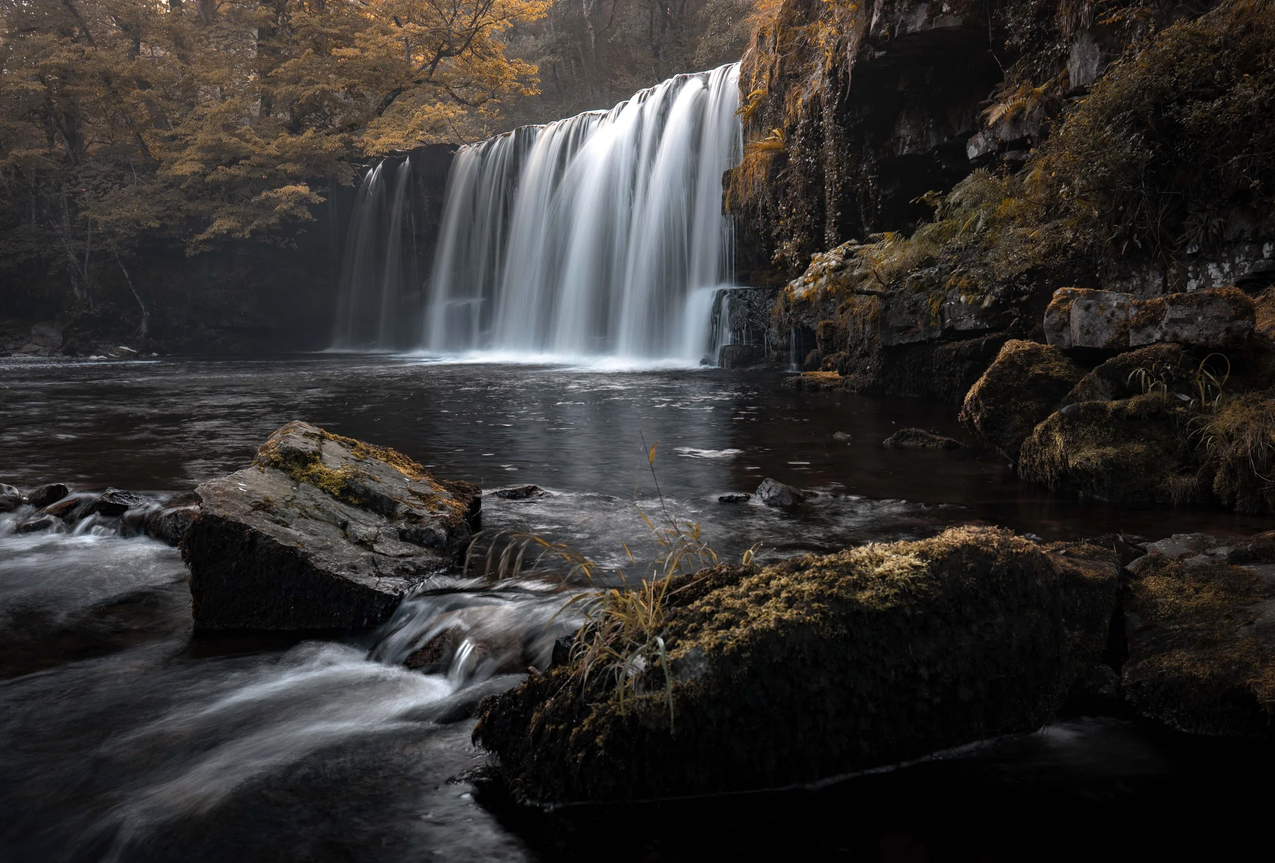 Elder Trial Four Falls Wales 