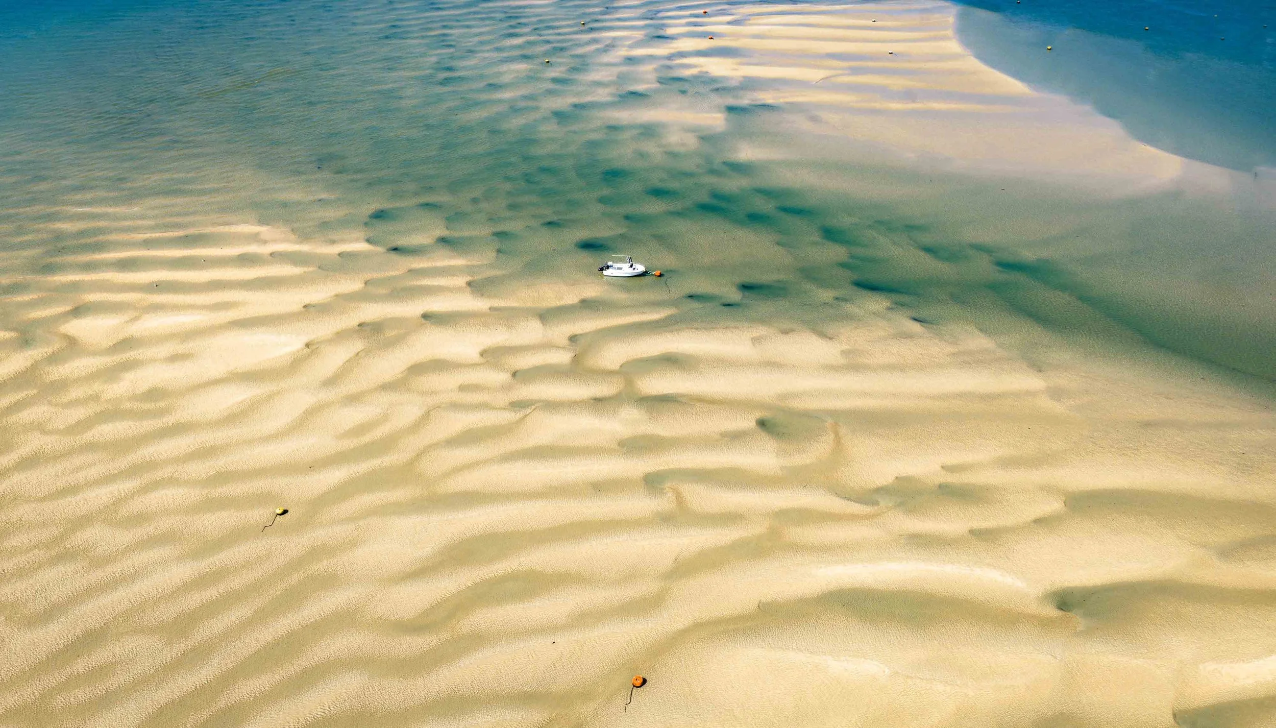 Ocean Blue _ Comp 10.jpg