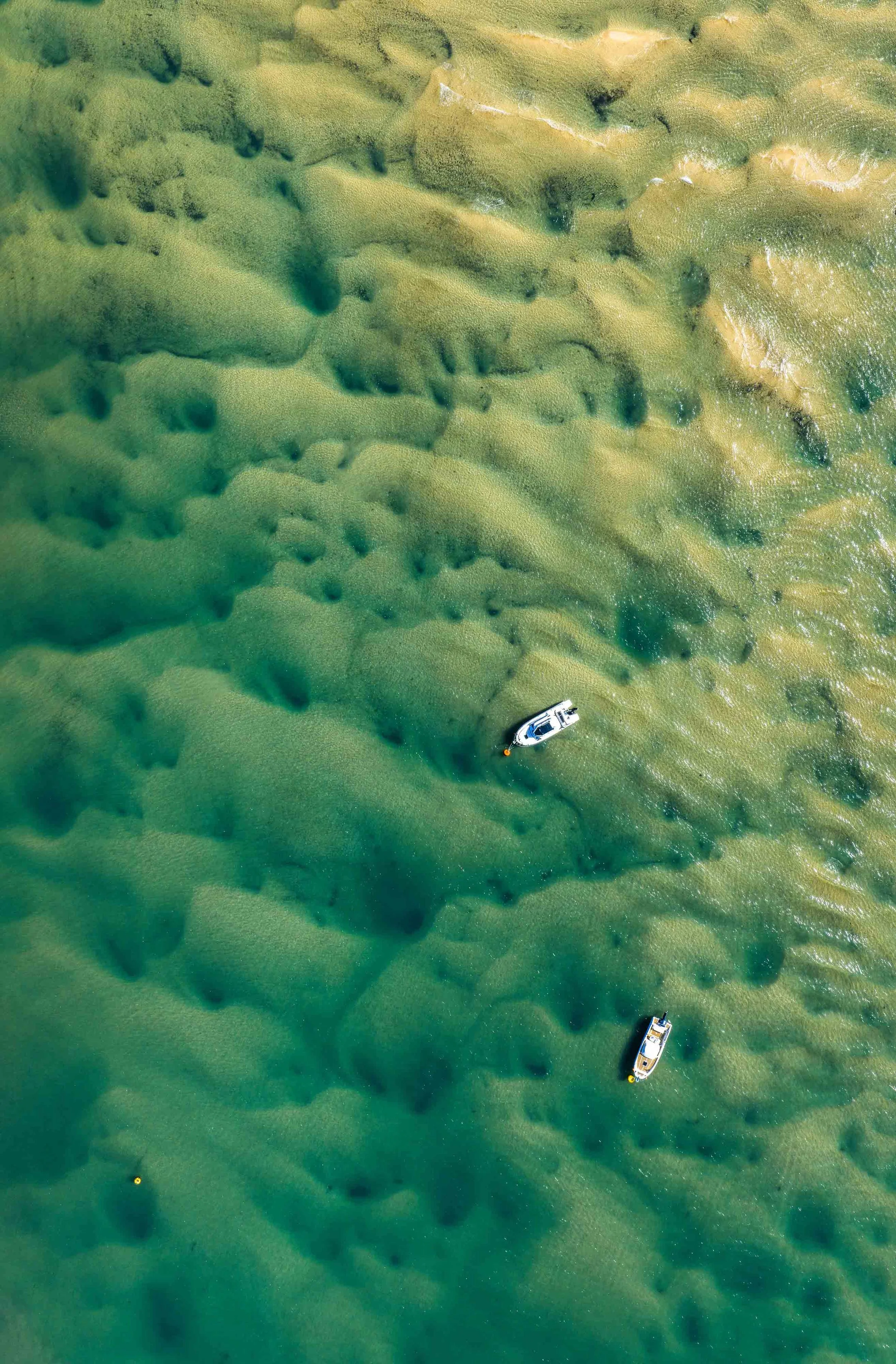 Ocean Blue _ Comp 11.jpg