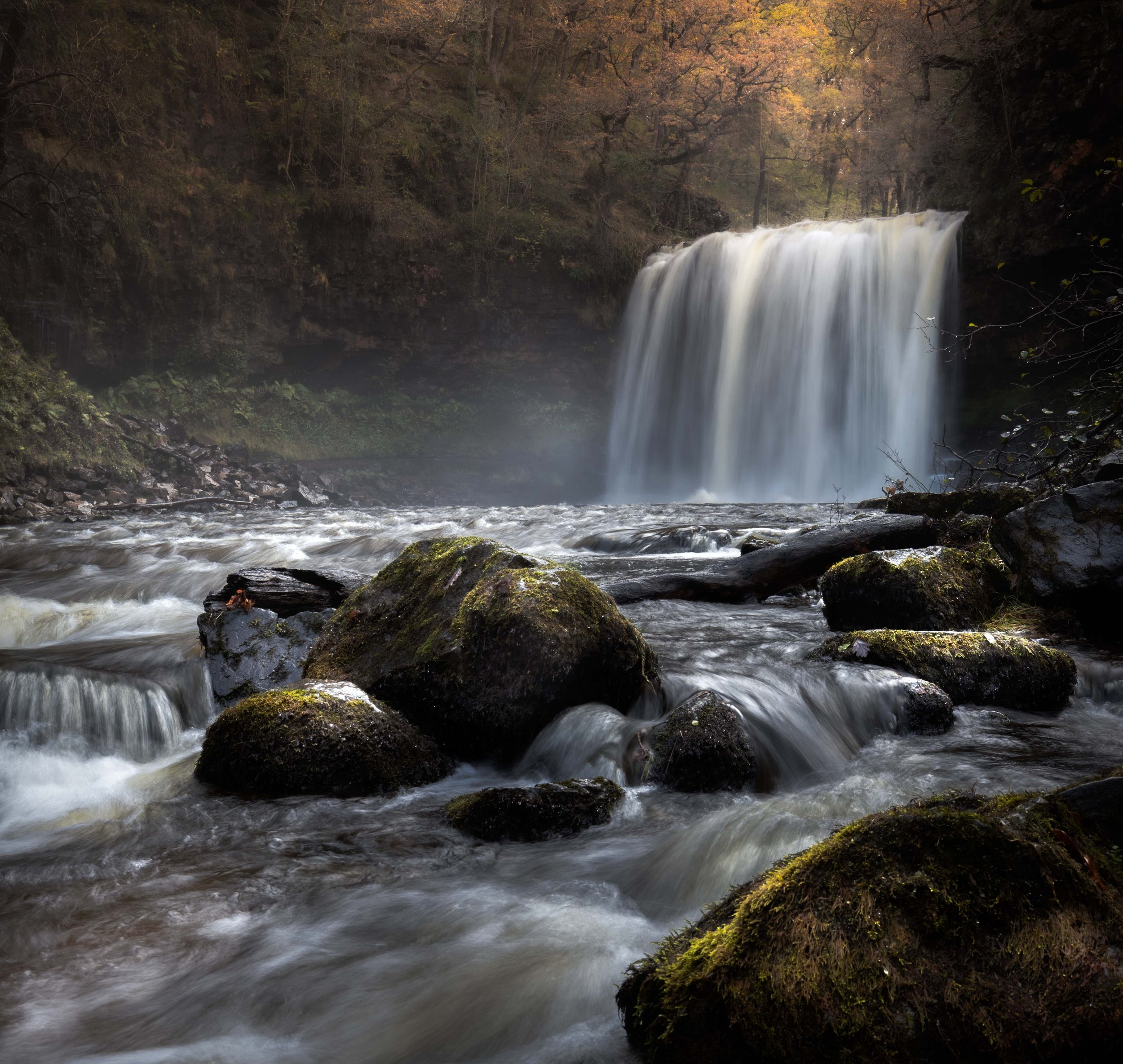 Elder Trial Four Falls Wales 