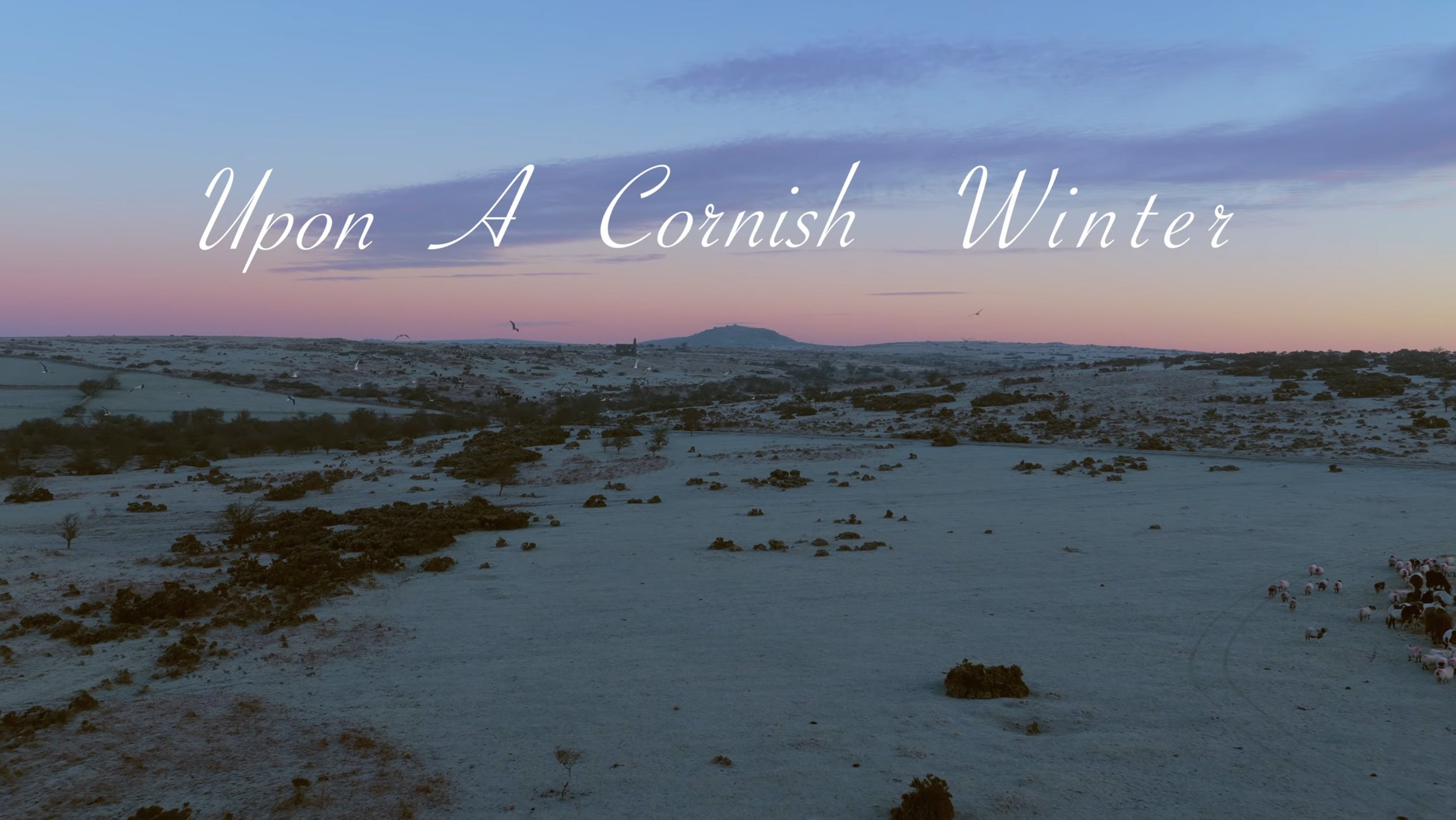 Scenic landscape of rolling hills and sparse trees under a pastel-colored sky at dusk, with a small herd of sheep and cows in the foreground, and the text 'Upon A Cornish Winter' overlaid.