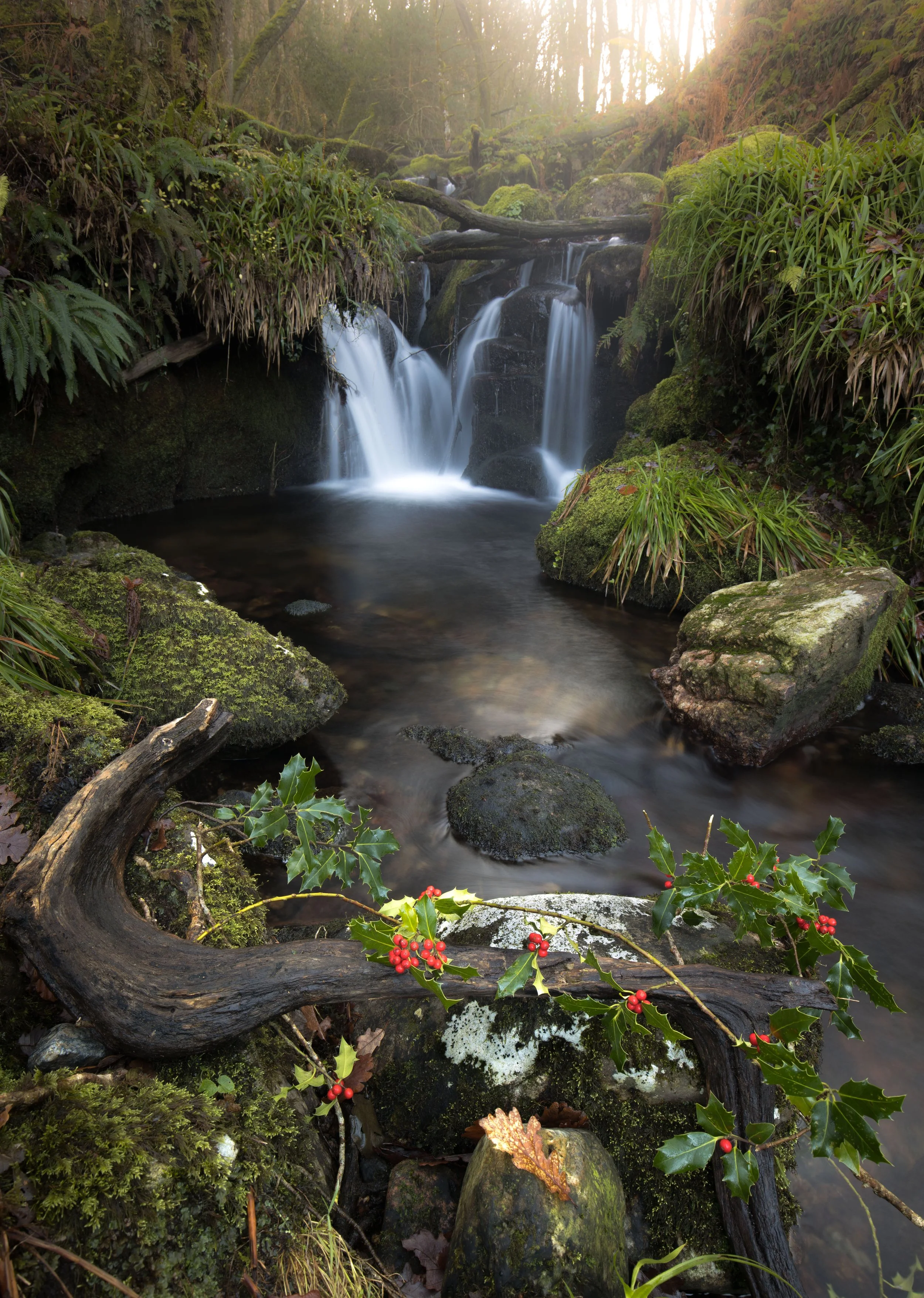 Venford Small Falls  Dartmoor