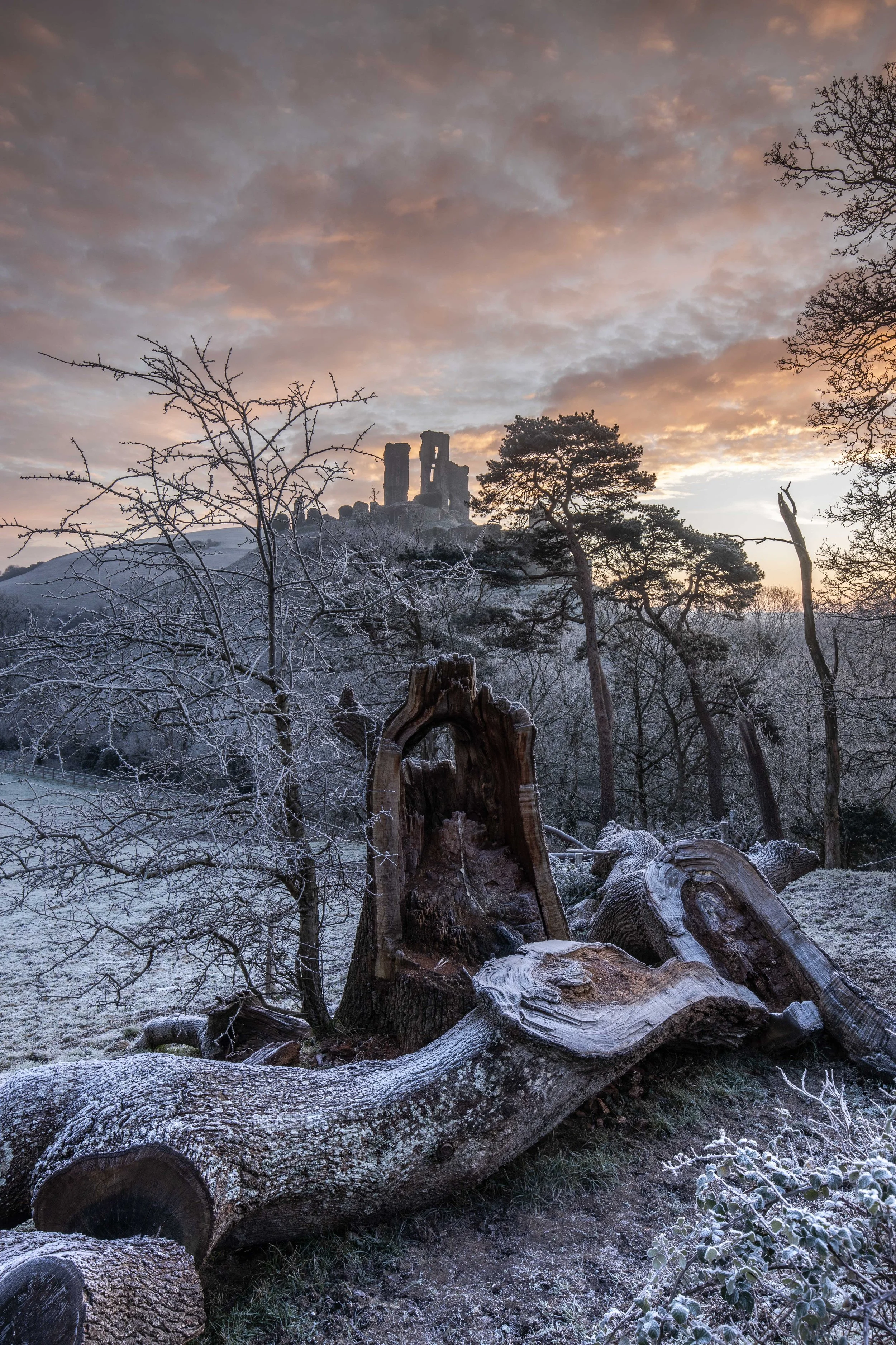 Corfe Castle Dorset 