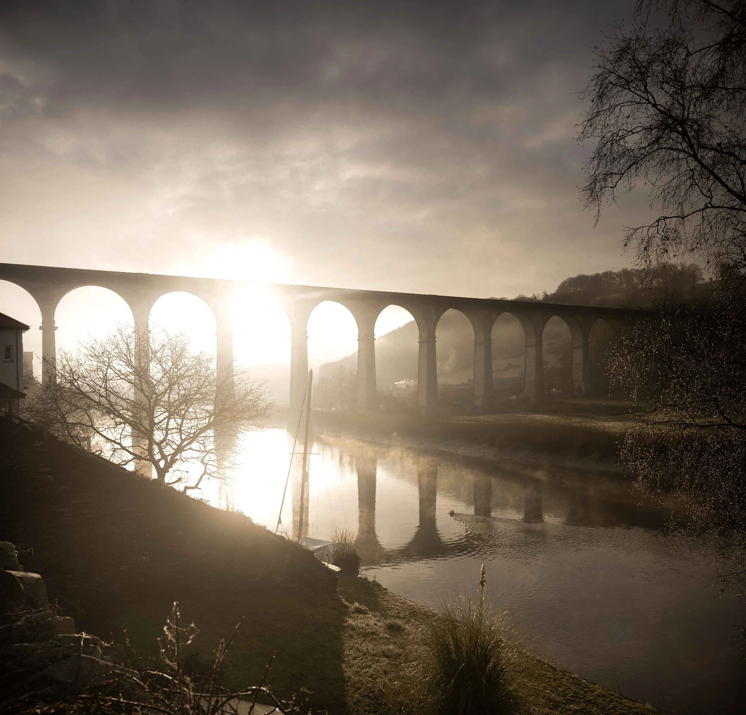 Calstock Viaduct Cornwall  