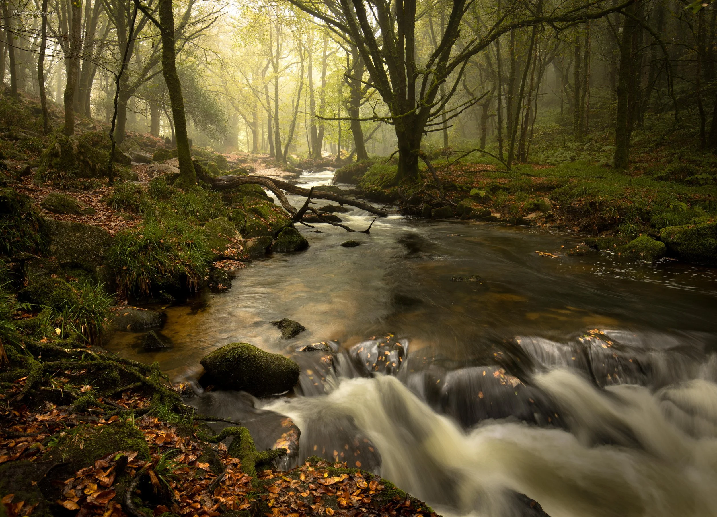 Golitha Falls Cornwall 