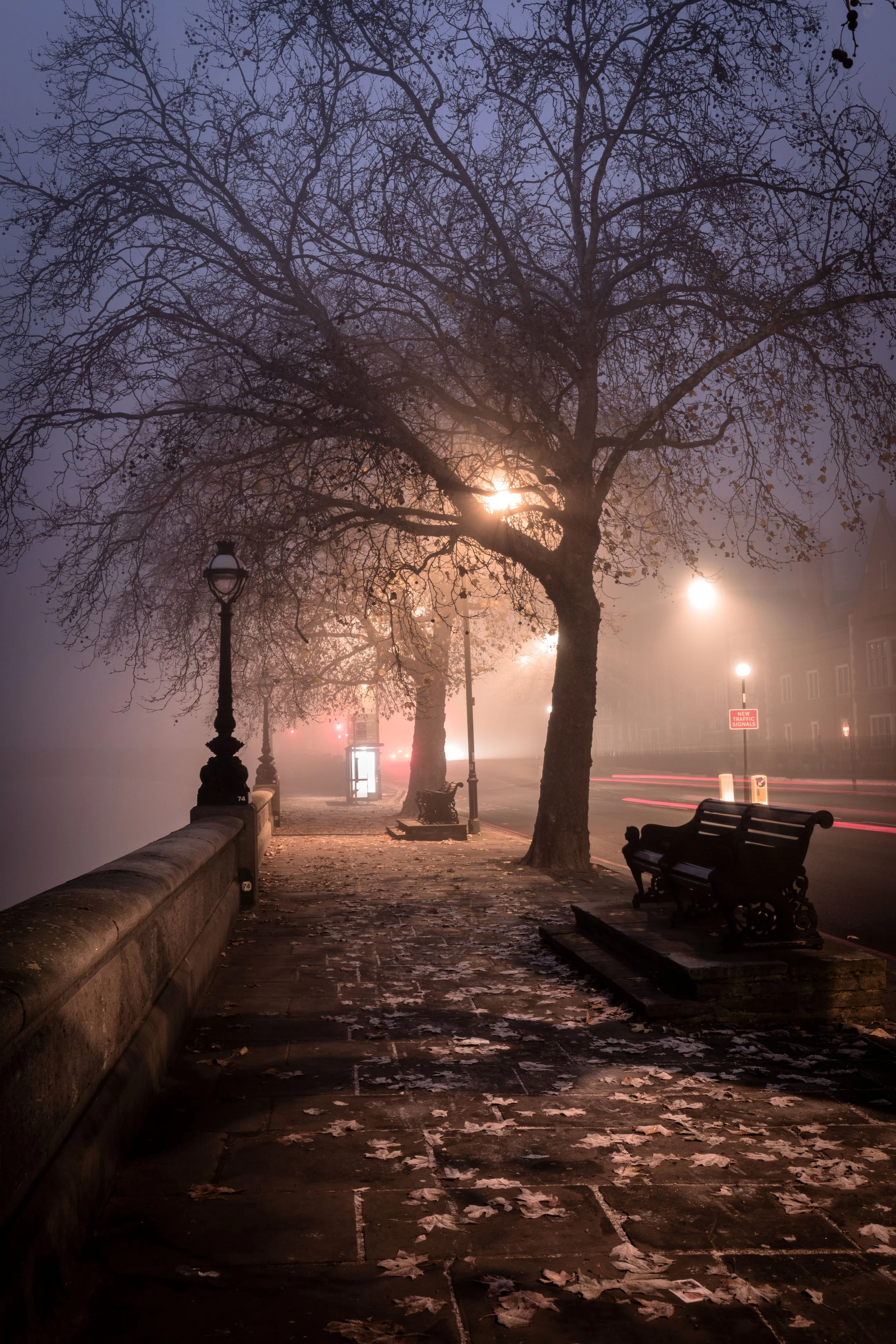 Foggy street with bare trees, benches, and streetlamps illuminating a path covered with fallen leaves at night.