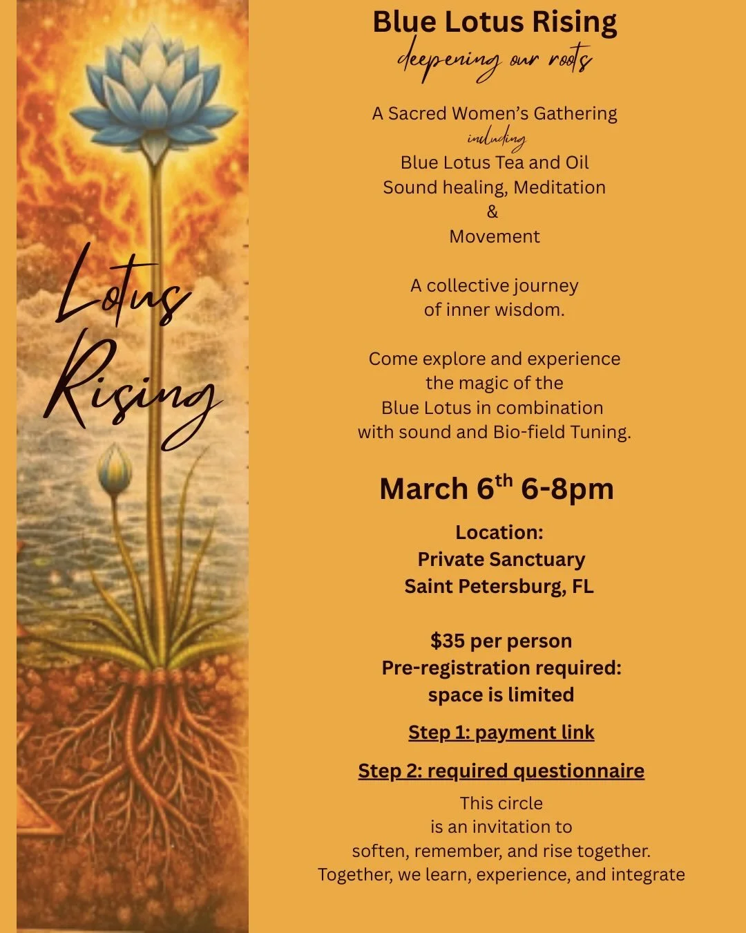 I&rsquo;m excited to be co-hosting this event with Lara Skadsen. Lara is returning from Egypt this week and bringing Blue Lotus tea and oil with her. She will be sharing the beautiful experience of Blue Lotus botanicals along with sound healing, medi