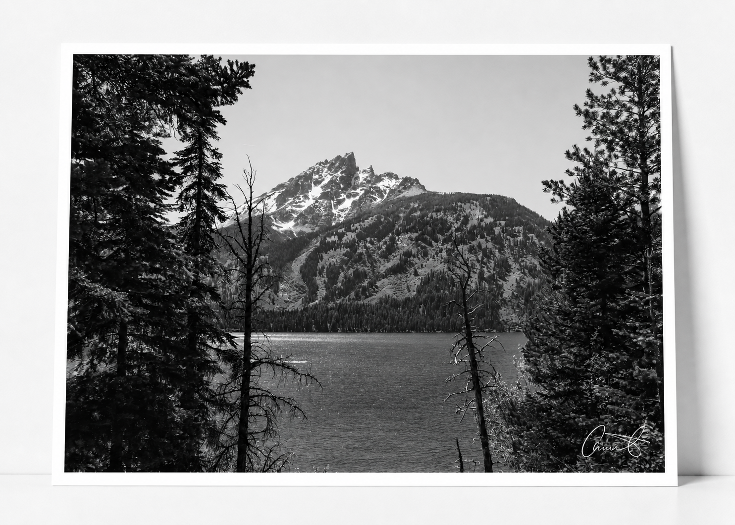 tetons