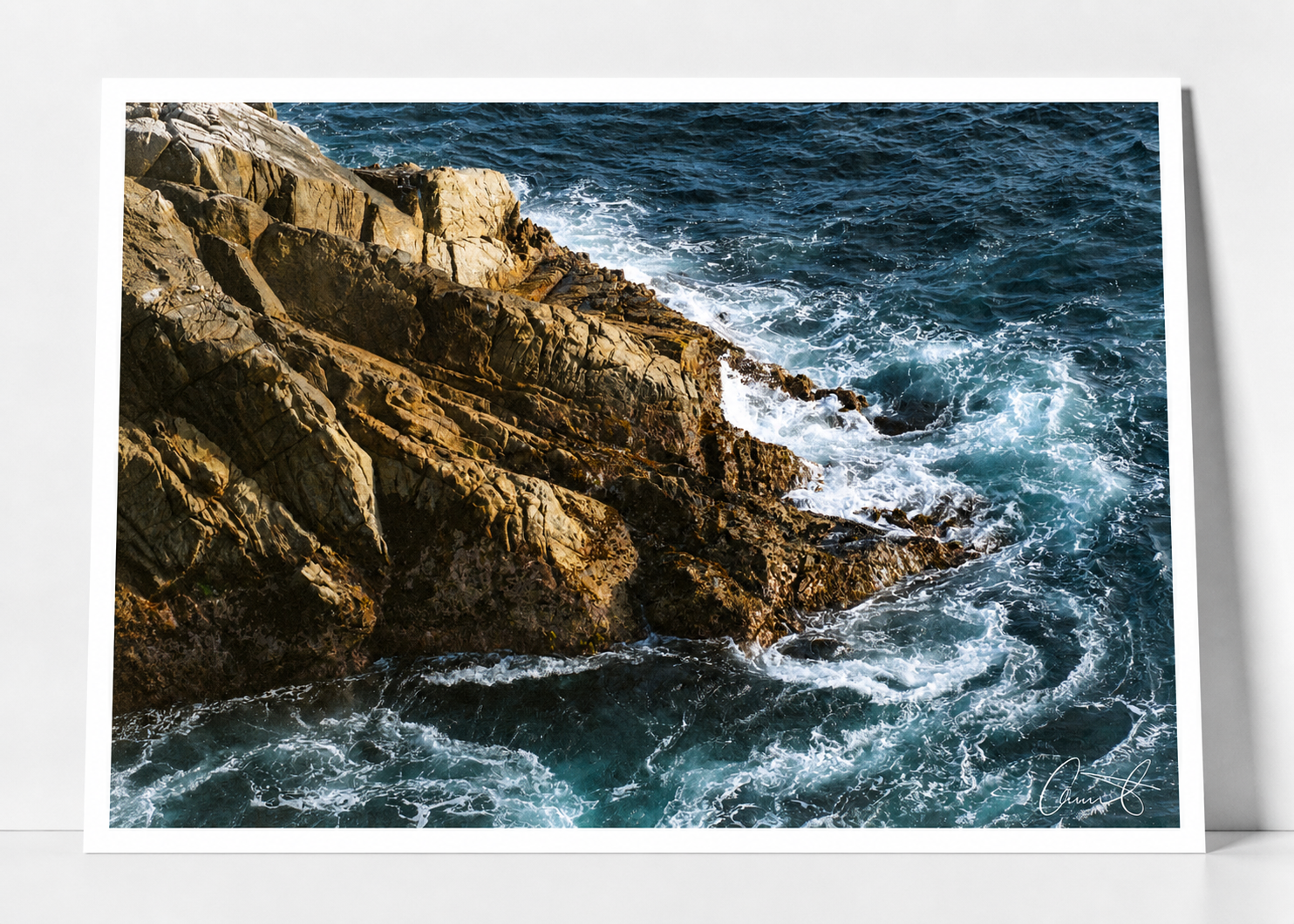 Point Lobos State Reserve