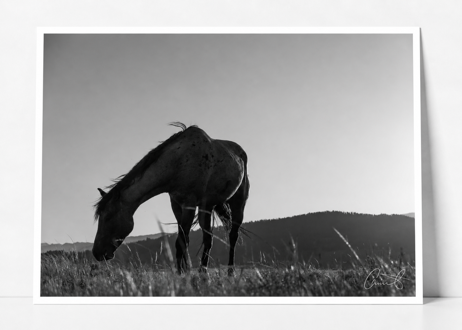 hors