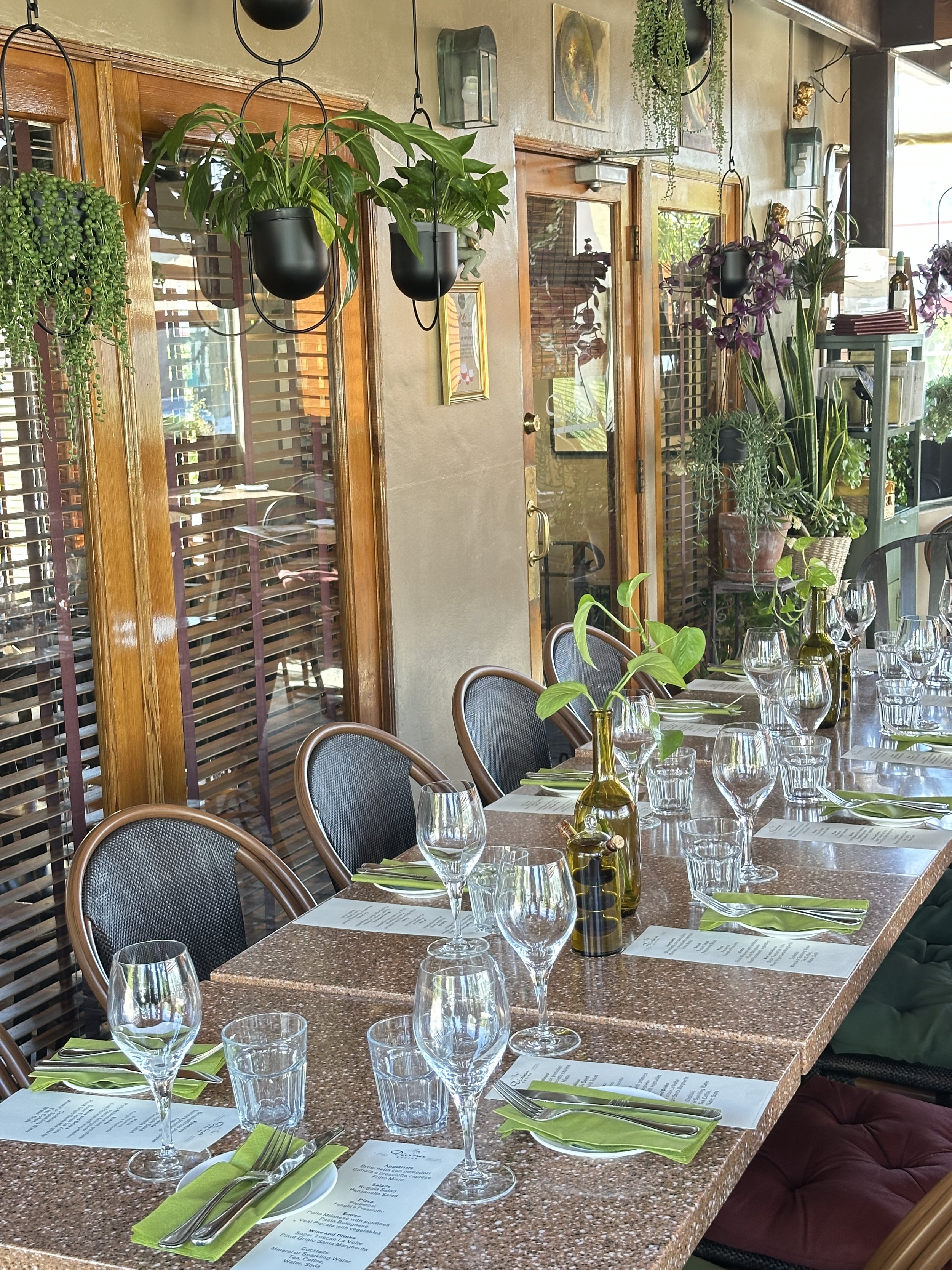 divina cucina cozy, comfortable, warm, full of plants patio beloved by our customers 