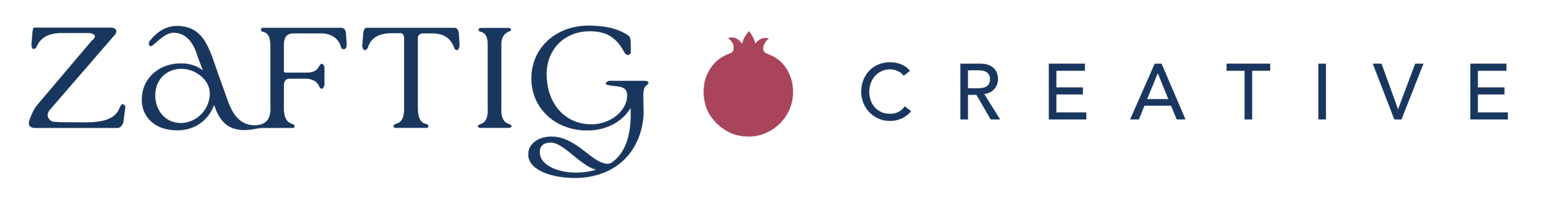 Zaftig Creative
