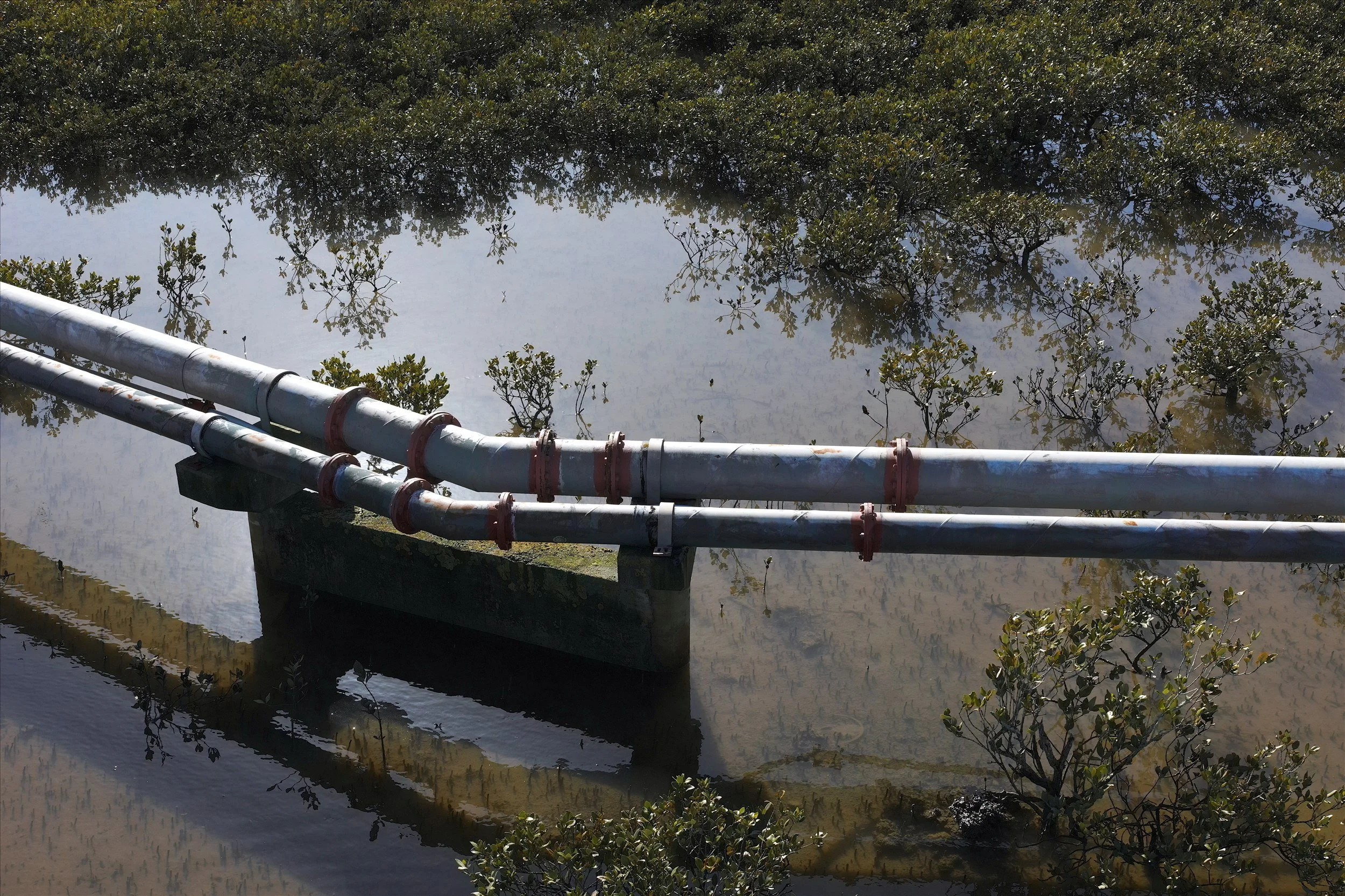 Drone survey of a wastewater treatment pond