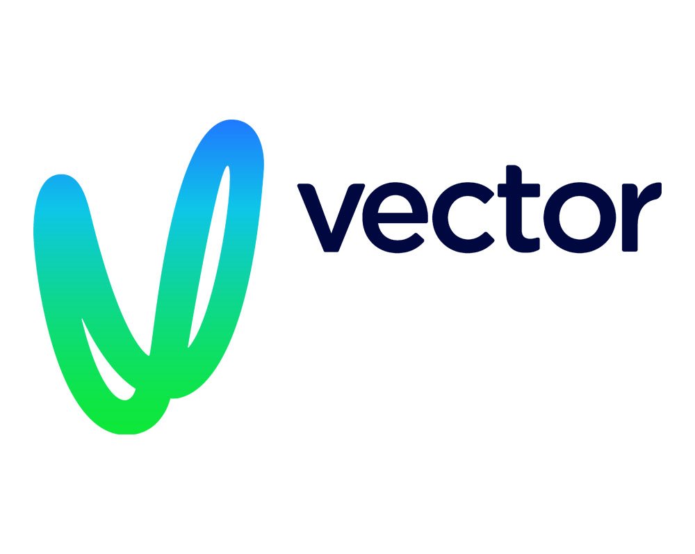 vector_electricity_limited