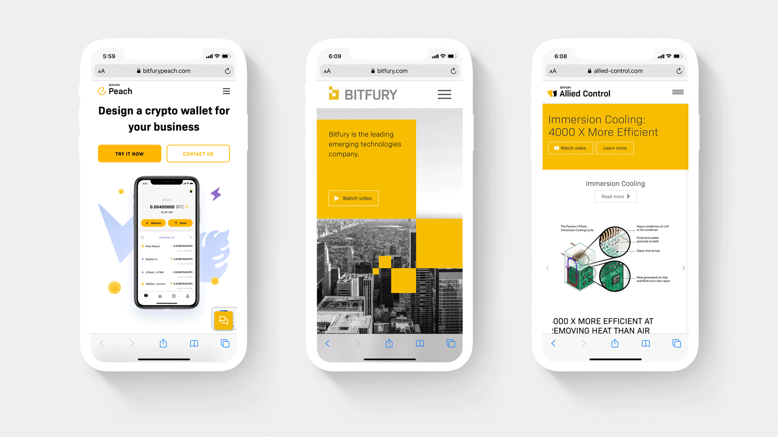 Bitfury_Brand_Architecture_Mobile.gif