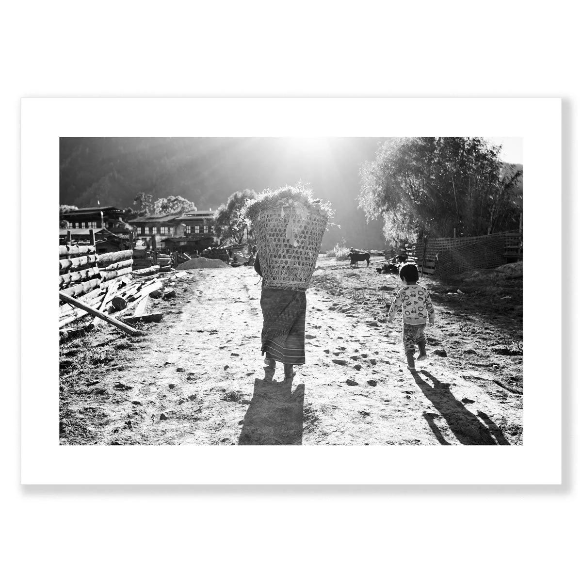 Farm-Boy-M-Shadow-Sizes-1200-60.jpg