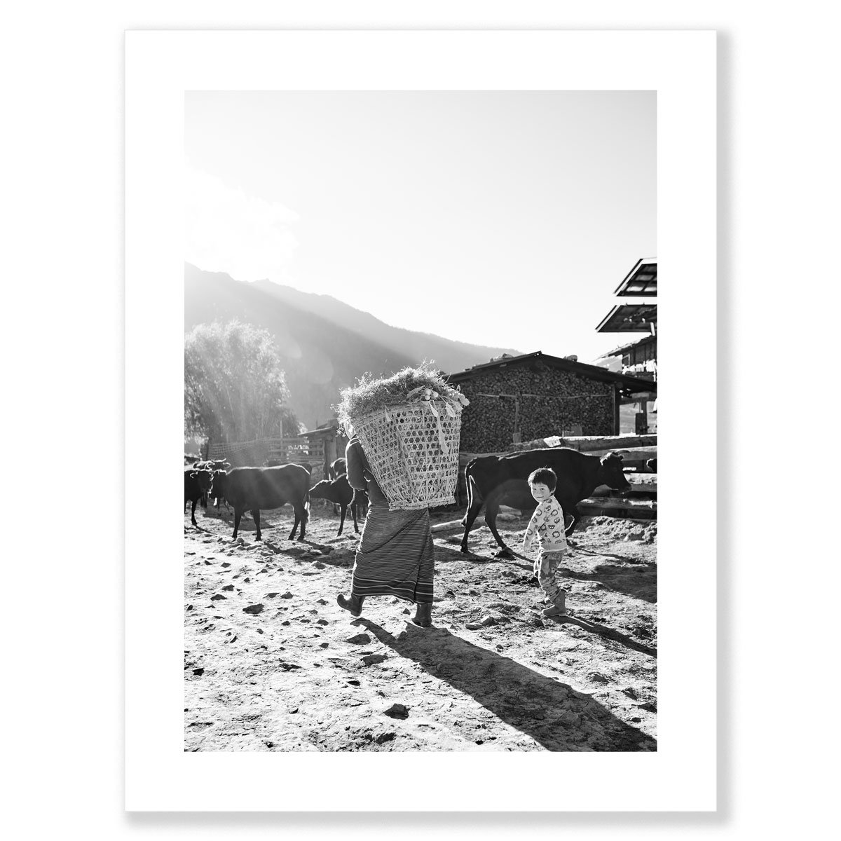 Farm-Hands-M-Shadow-Sizes-1200-60.jpg
