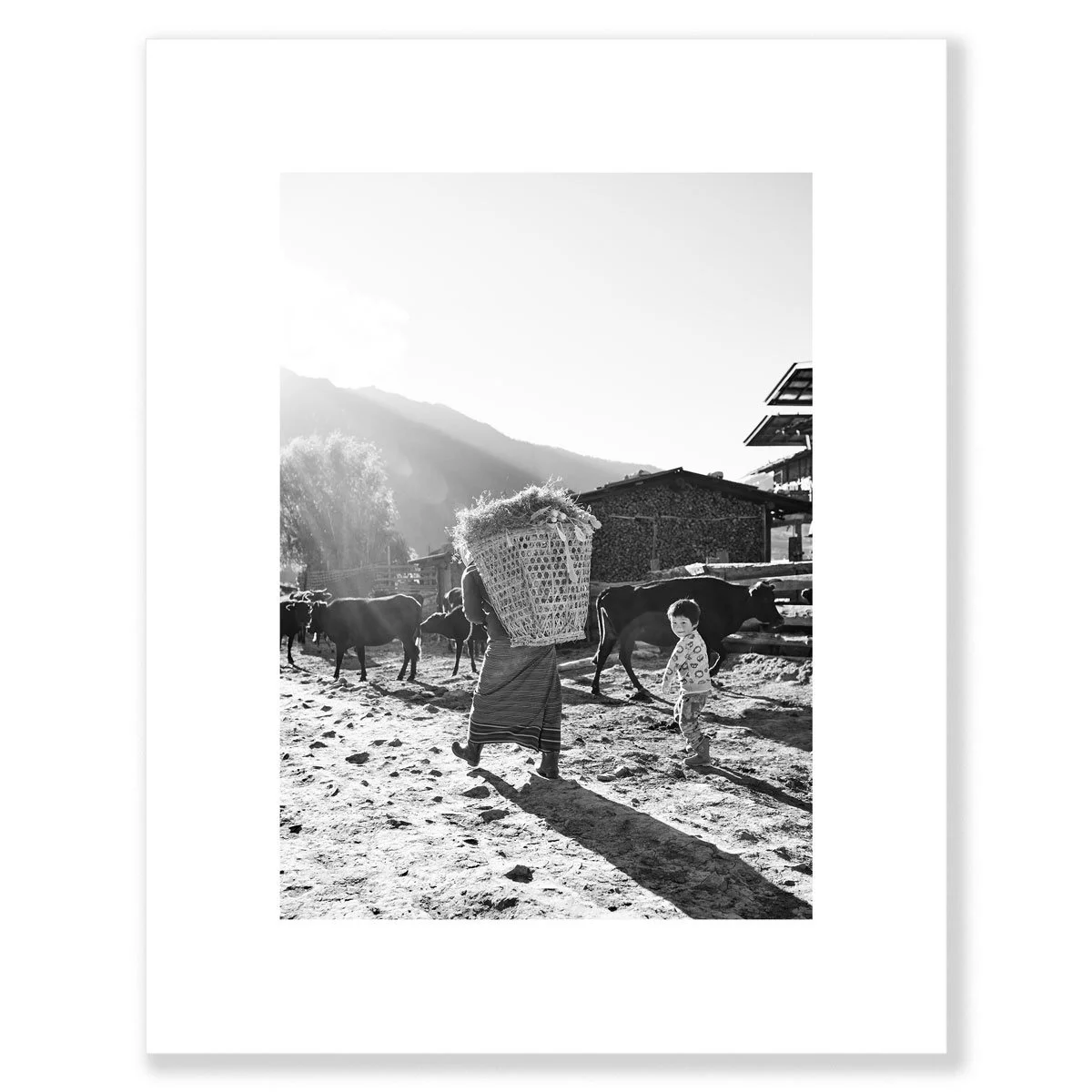 Farm-Hands-S-Shadow-Sizes-1200-60.jpg