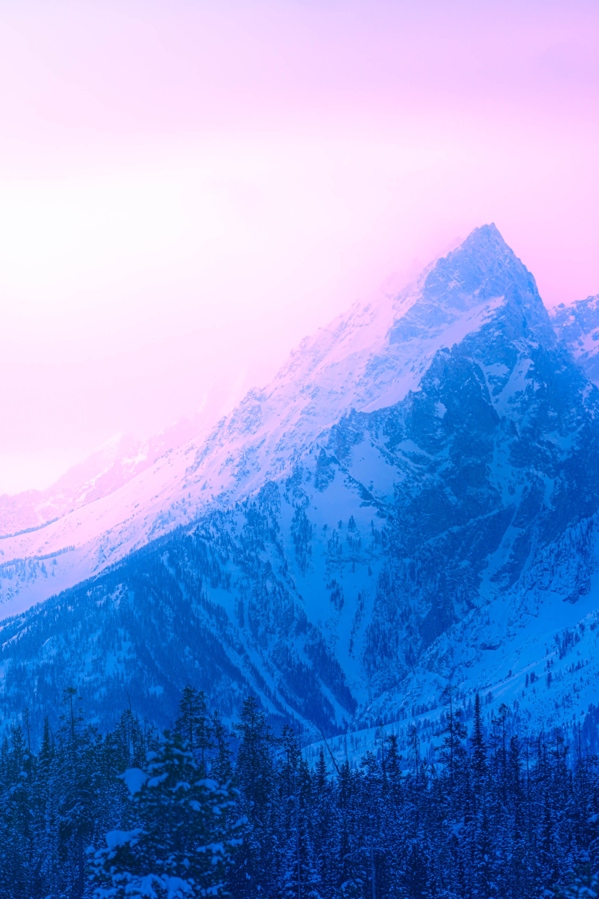 Close-up of colorful, layered Grand Teton mountain snowscape at sunrise with pink, purple, and blue hues under a bright pink sky. By Archie Carmel.