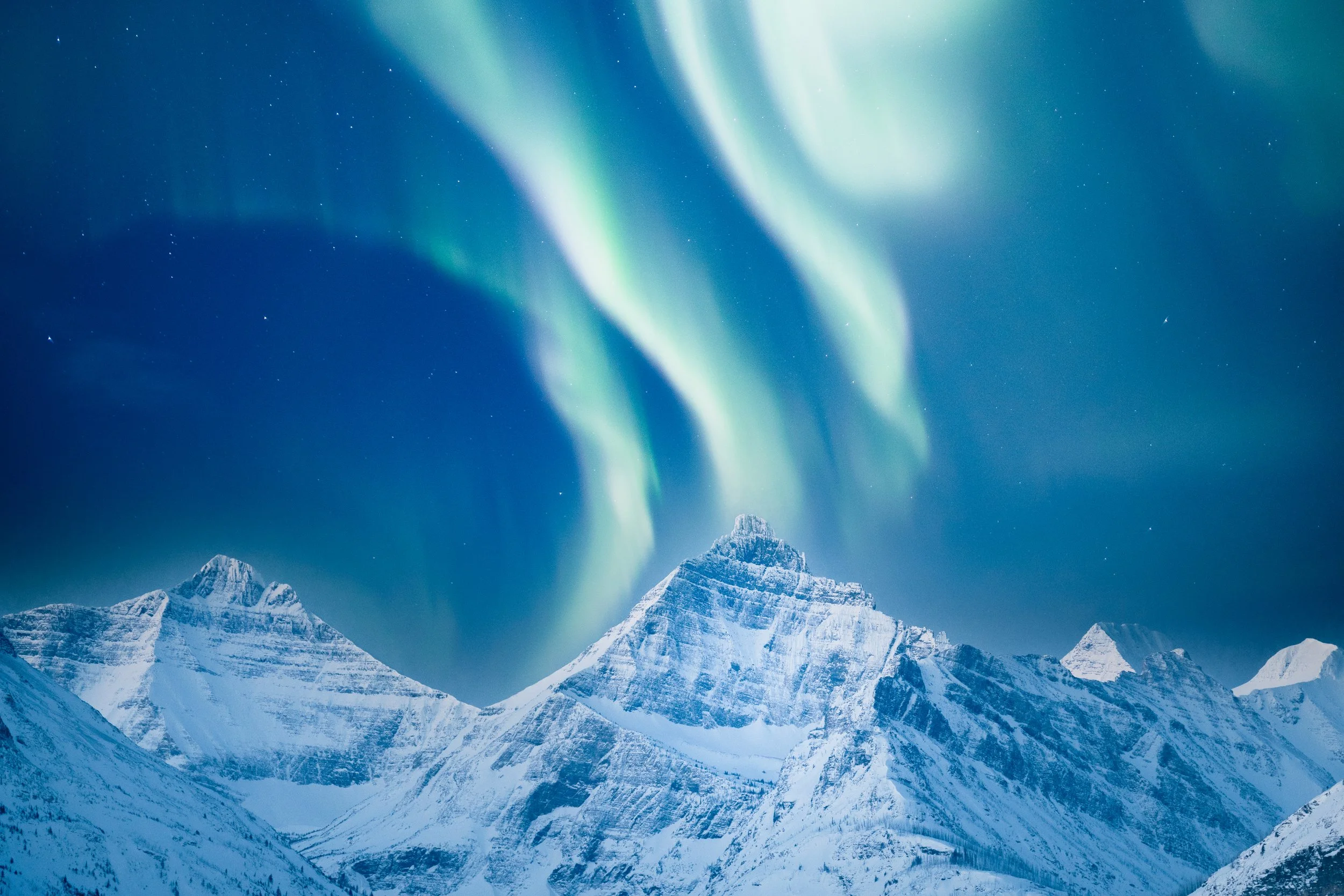 Rewilding The Heart A Book by Archie Frink