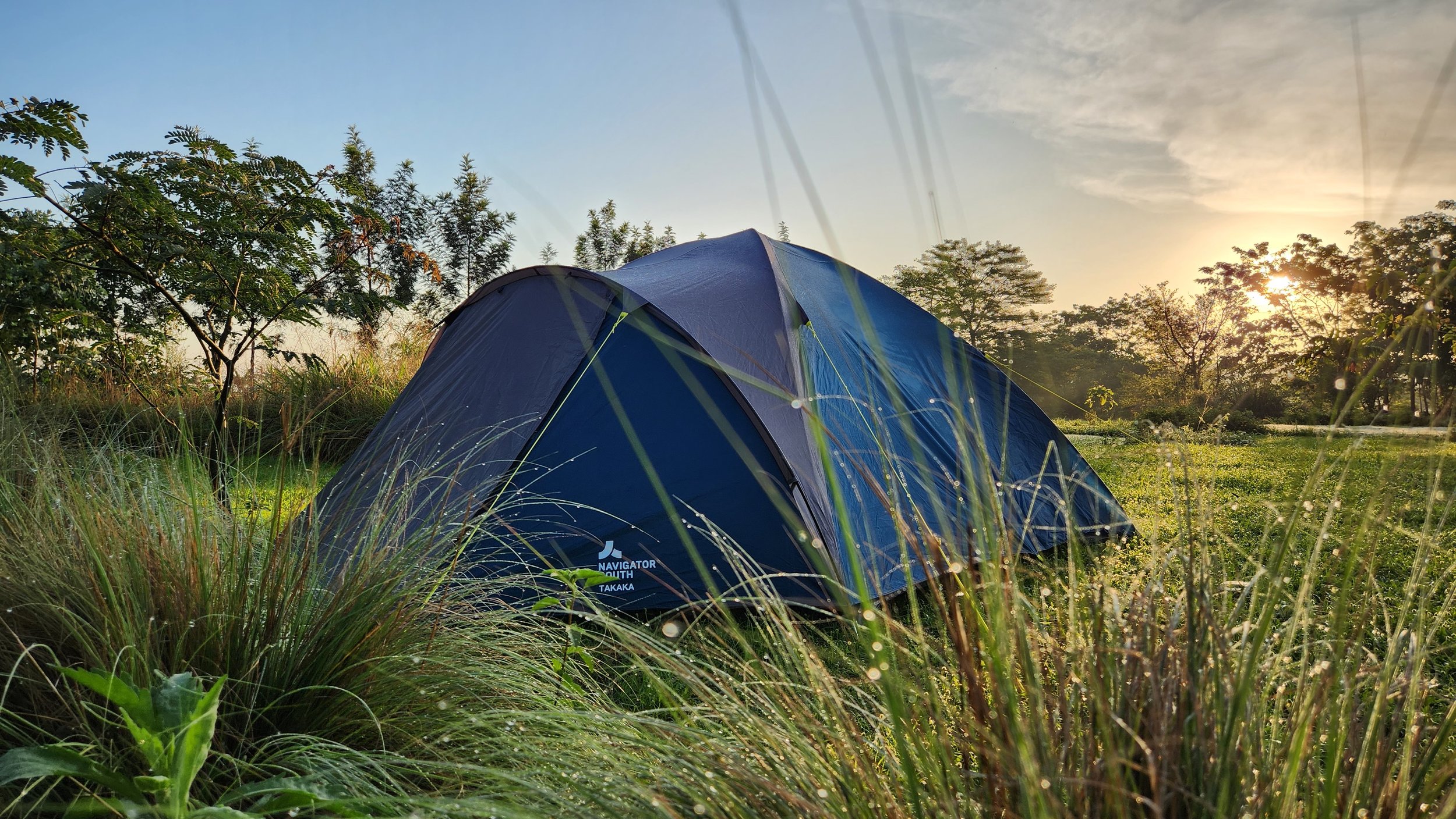 tent in the grass.jpg