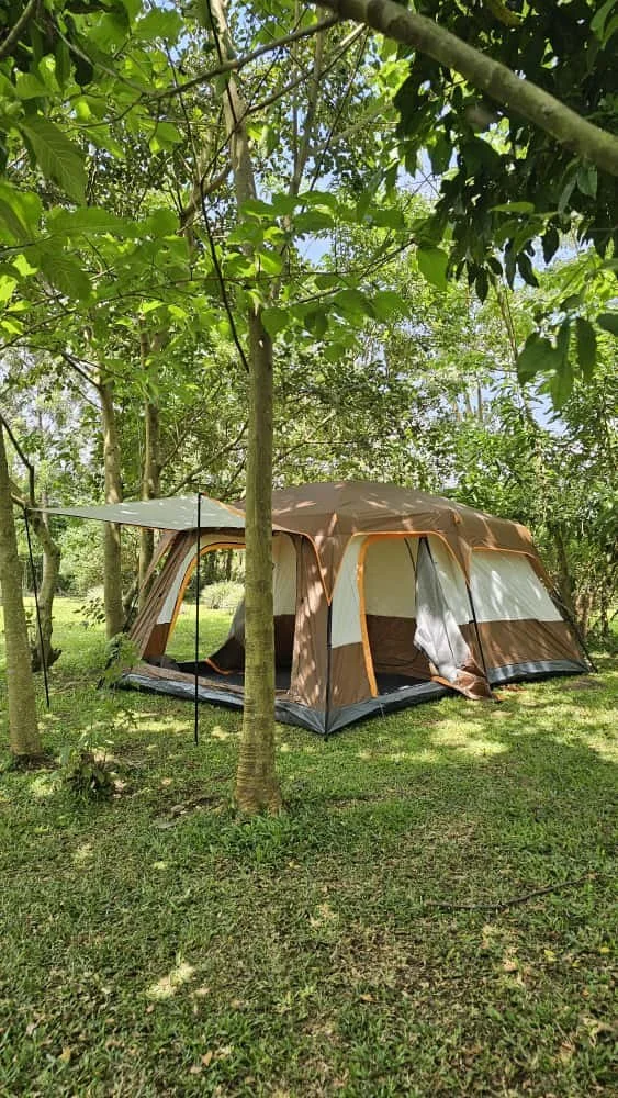 A camping tent set up on grassy ground surrounded by trees on a foggy morning.