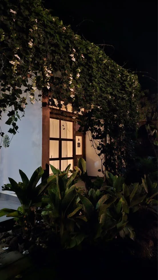 Night view of a cozy house with a white wall, a wooden-framed window, and lush green plants and vines surrounding it.