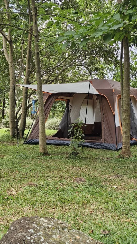 A large brown and beige camping tent set up among trees in a grassy area during daytime.