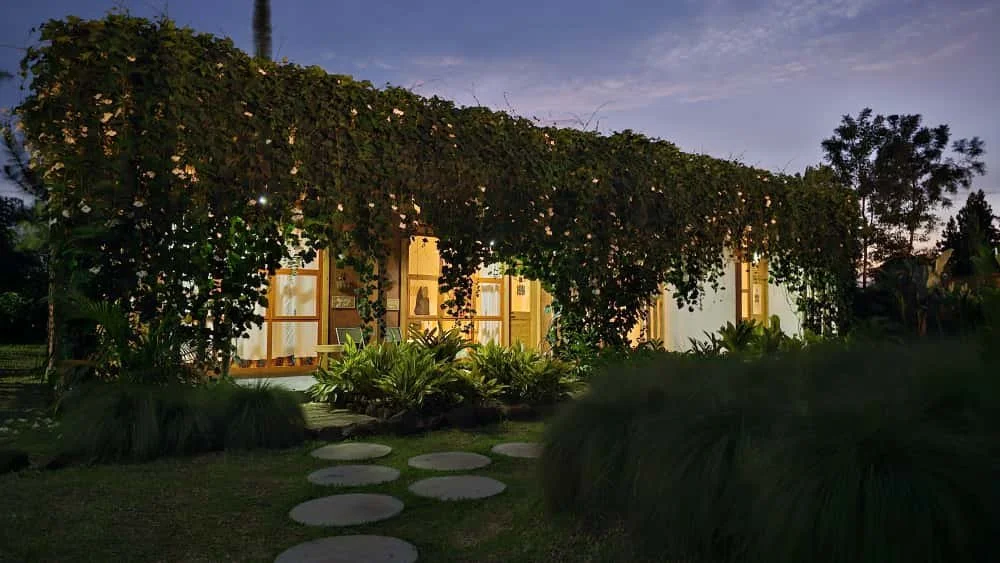 A house with large windows is covered by a vine with pink and white flowers, surrounded by lush greenery, and illuminated from inside, at dusk.