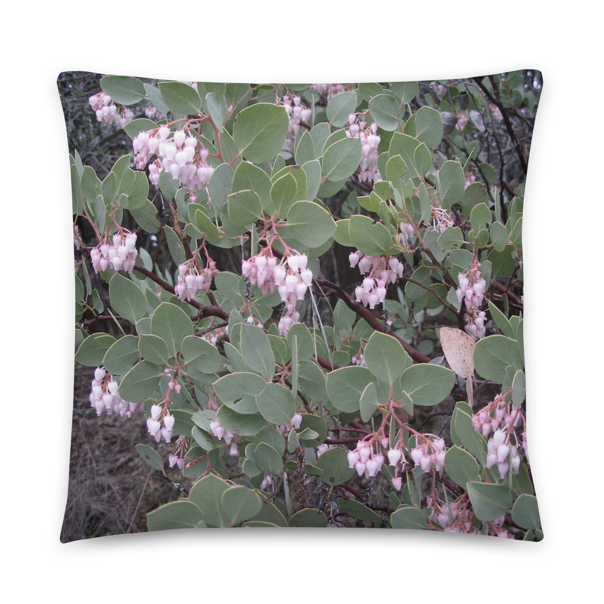 all-over-print-basic-pillow-22x22-back-666802d97d76b.jpg