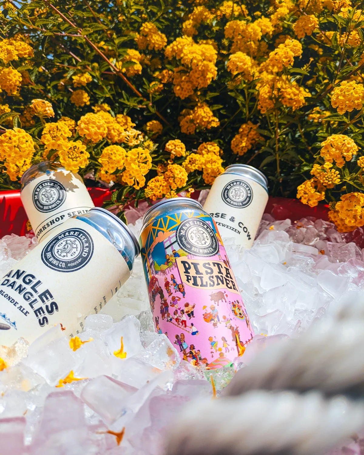ALL_Spring Brews Release 2026-2.jpg