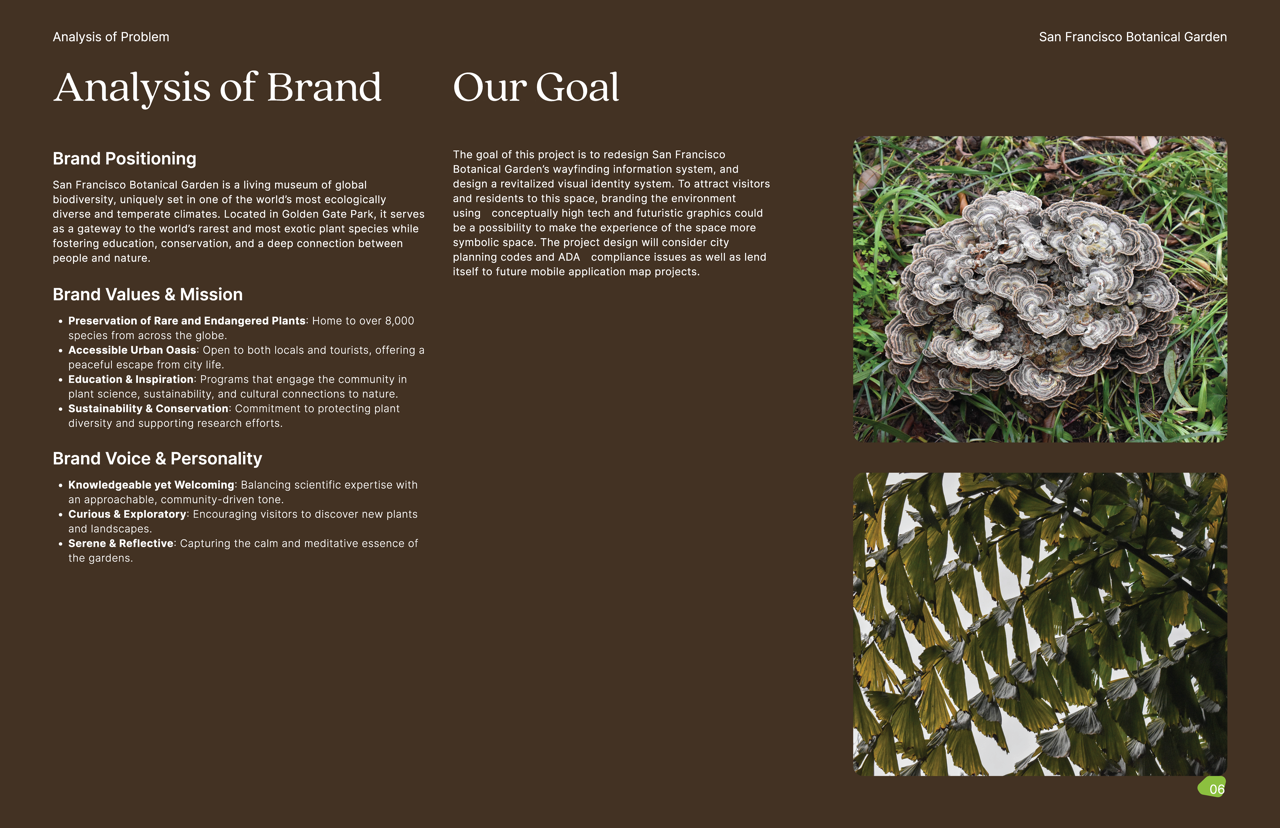 Botanical Gardens Process BookFINAL_Page_45 Large.png