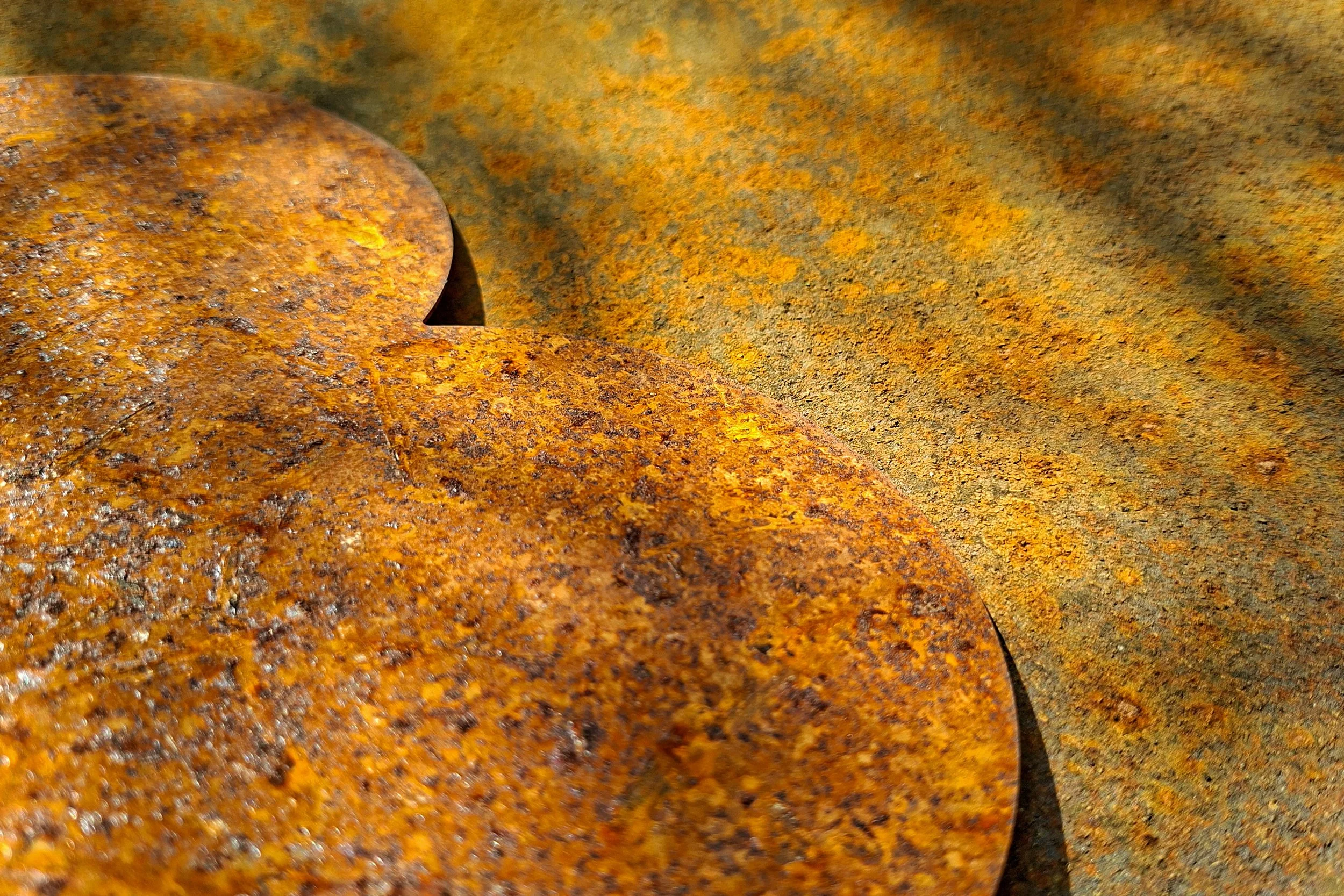 598_00.jpg