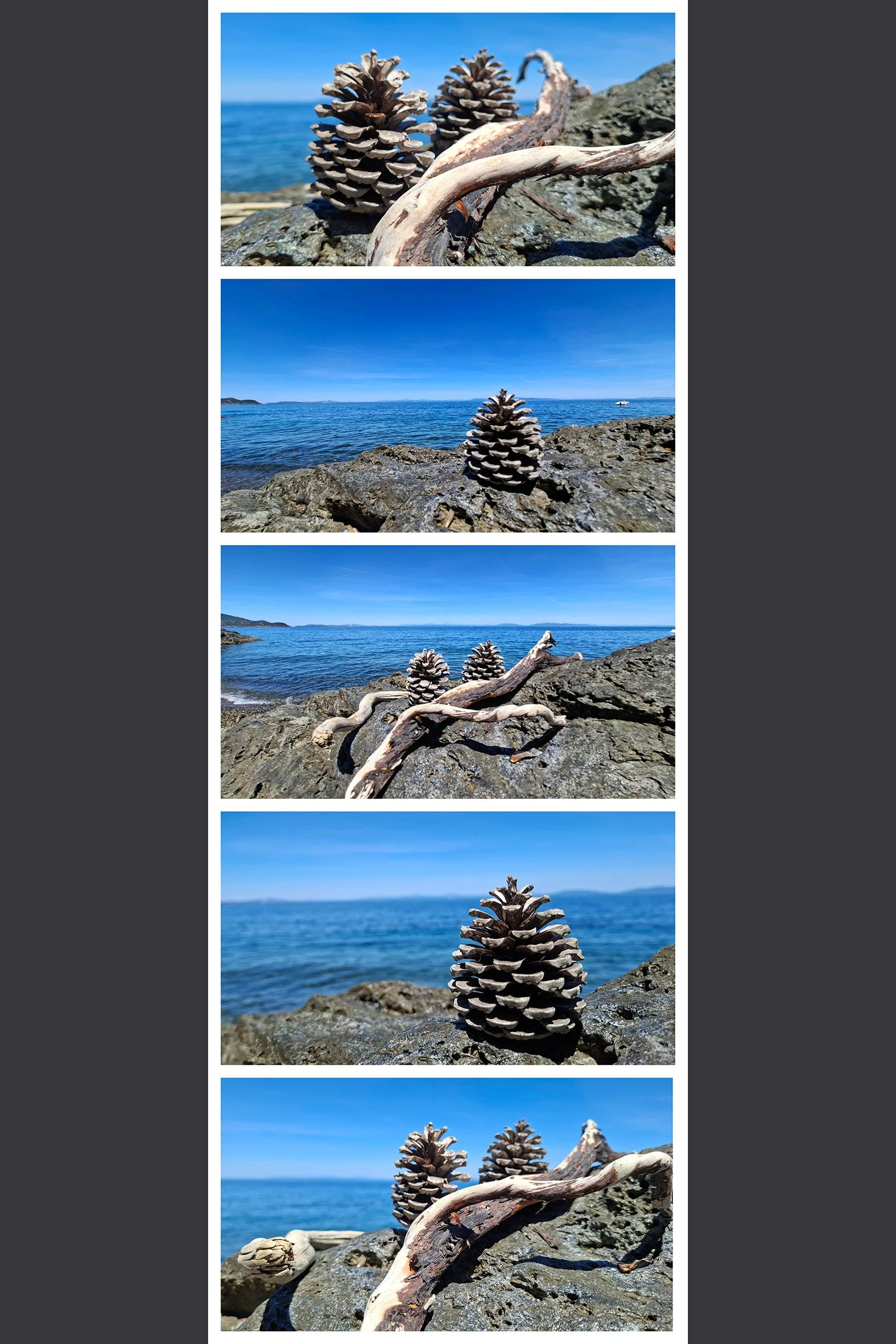 holz zapfen elba.jpg