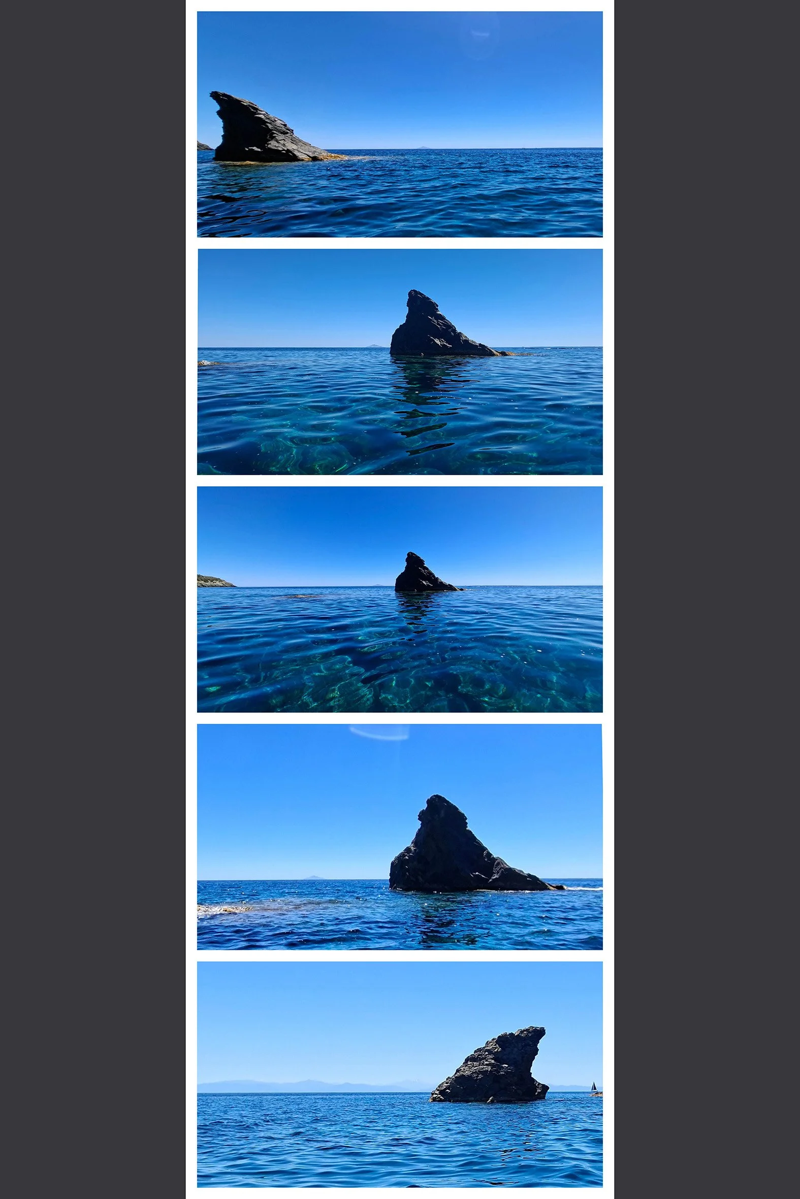 haiflosse.jpg
