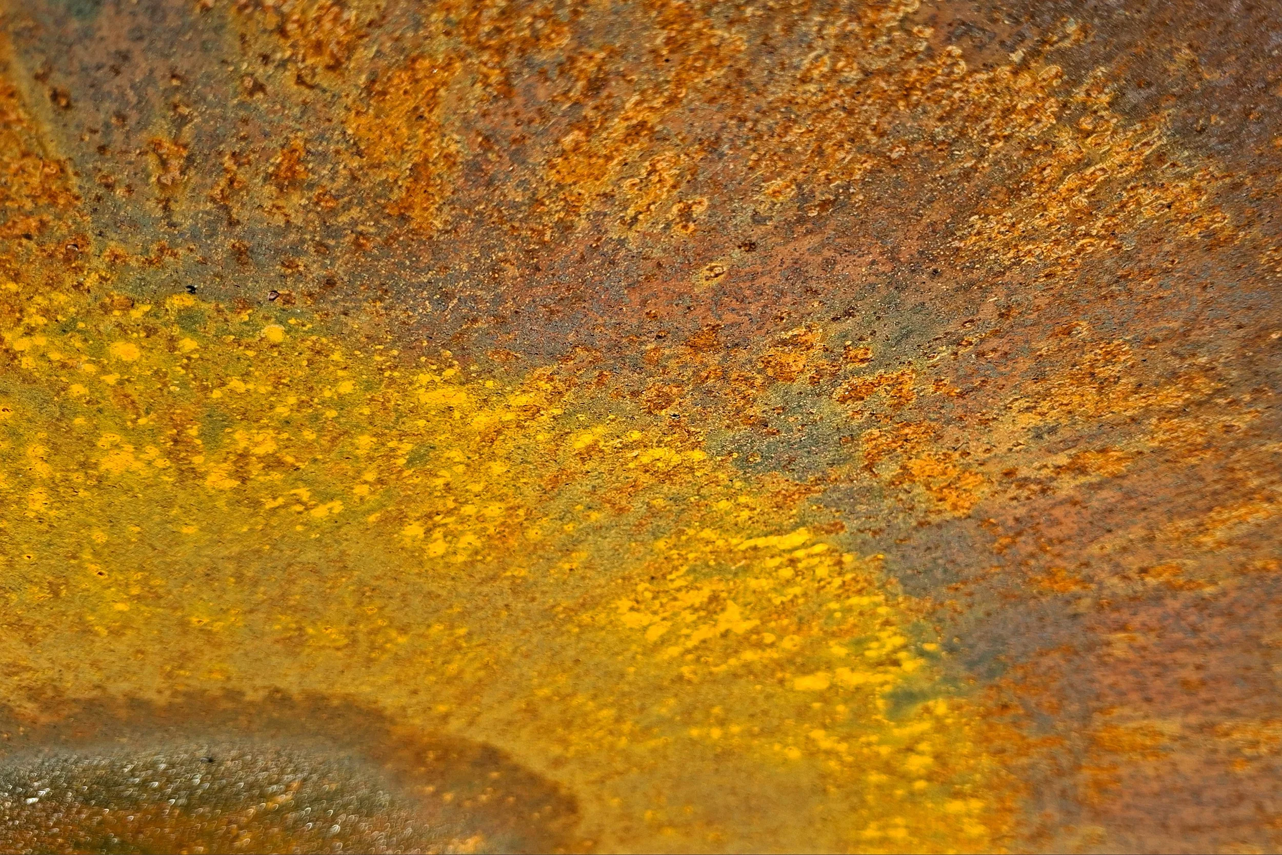 618_00.jpg