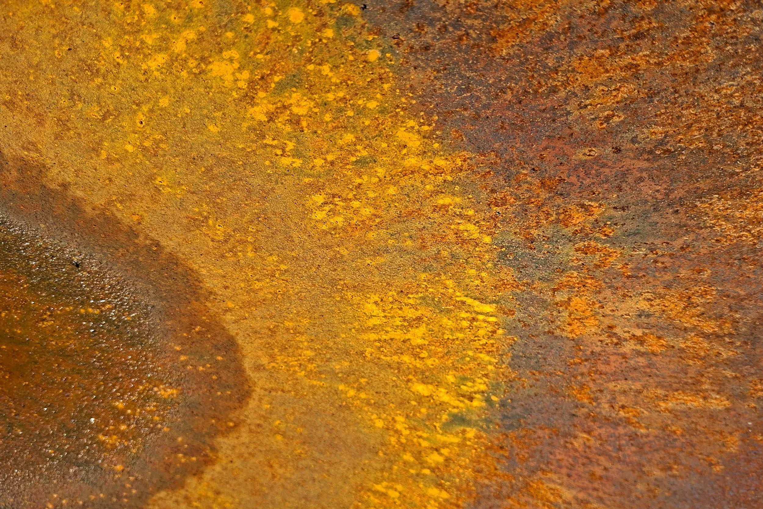 617_00.jpg