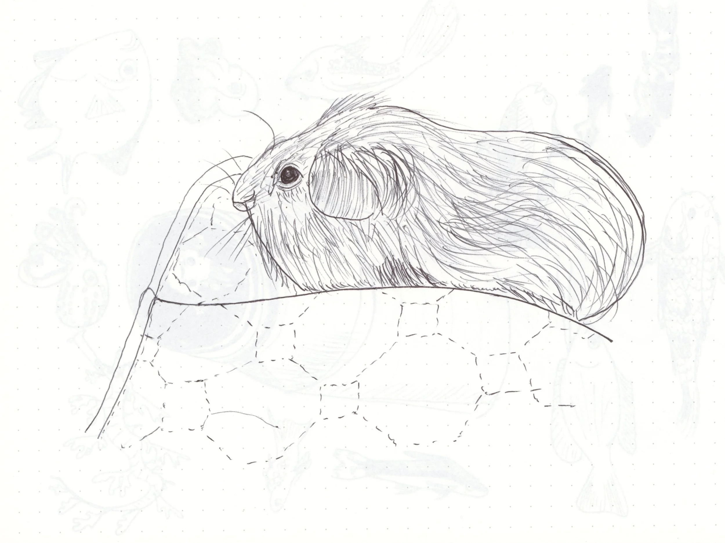 A drawing done with a Huion Note ball point on a Huion note paper notepad: guinea pig