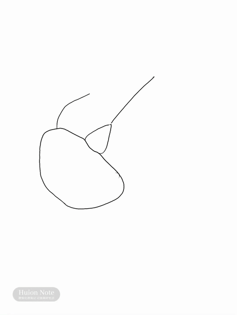 A gif of drawing a scarab beetle on a Huion note