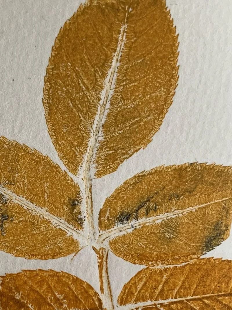 leaves in yellow ochre and black ink