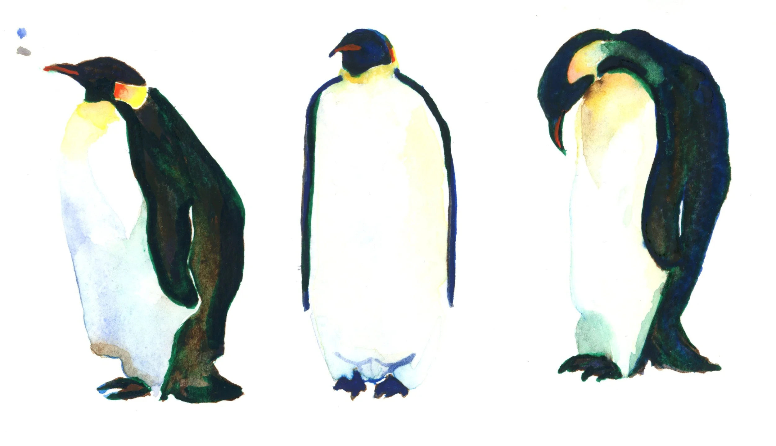 Three penguins in watercolour. One faces left, the second is looking past the viewer, and the third is staring at his feet