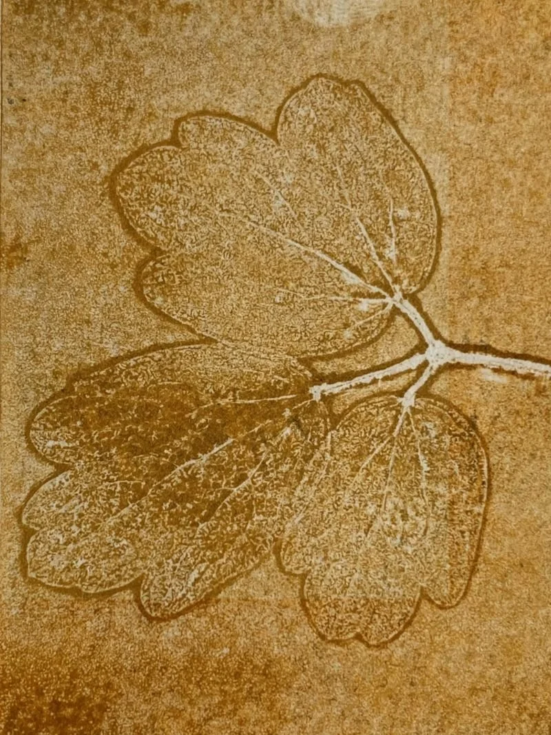 leaves in yellow ochre ink